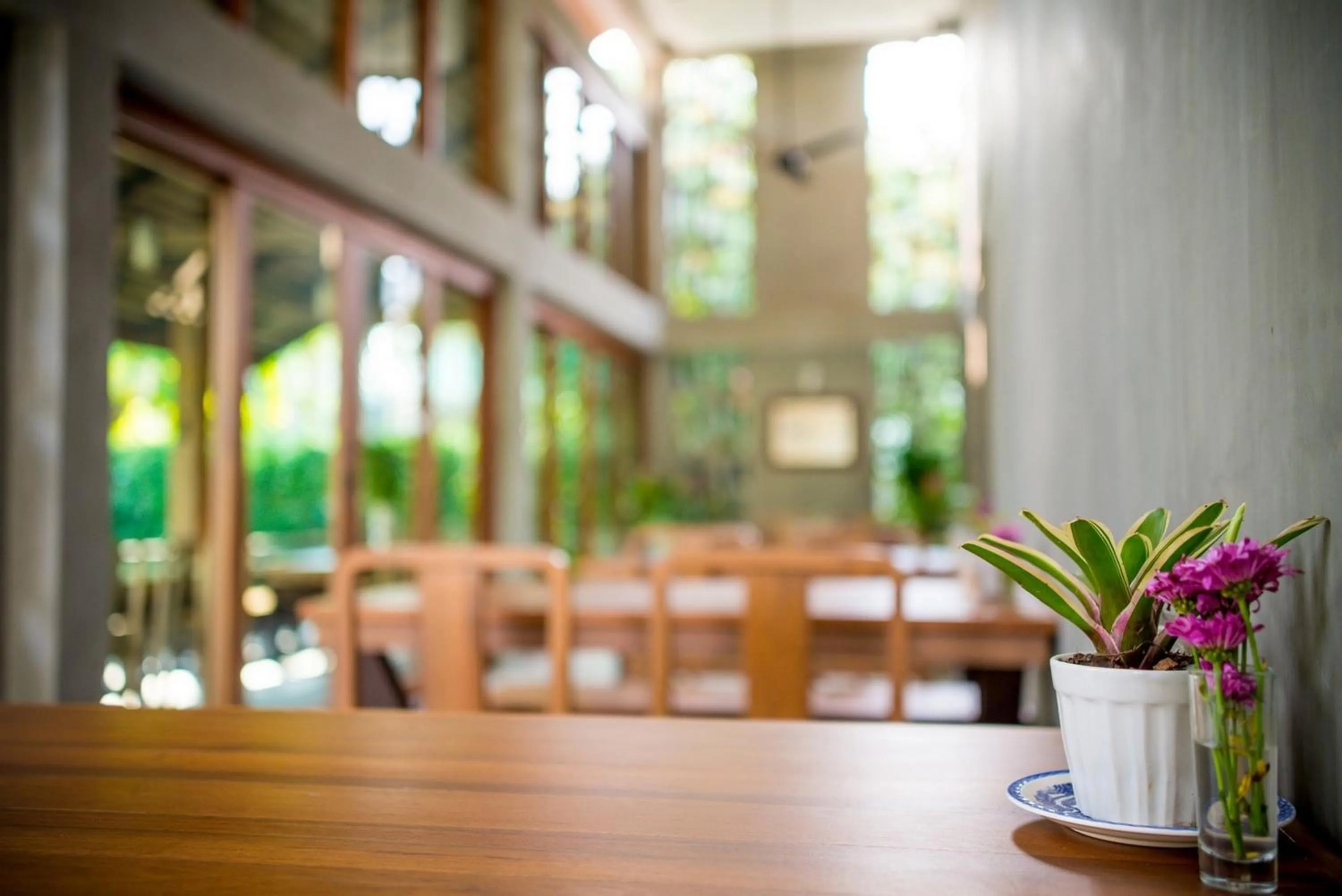 Restaurant/places to eat in Chu Hotel