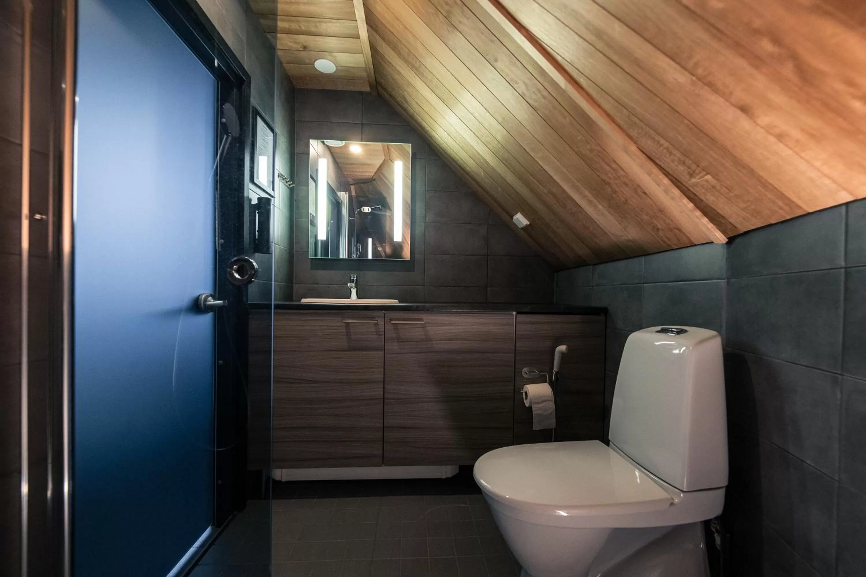 Toilet in Apukka Resort