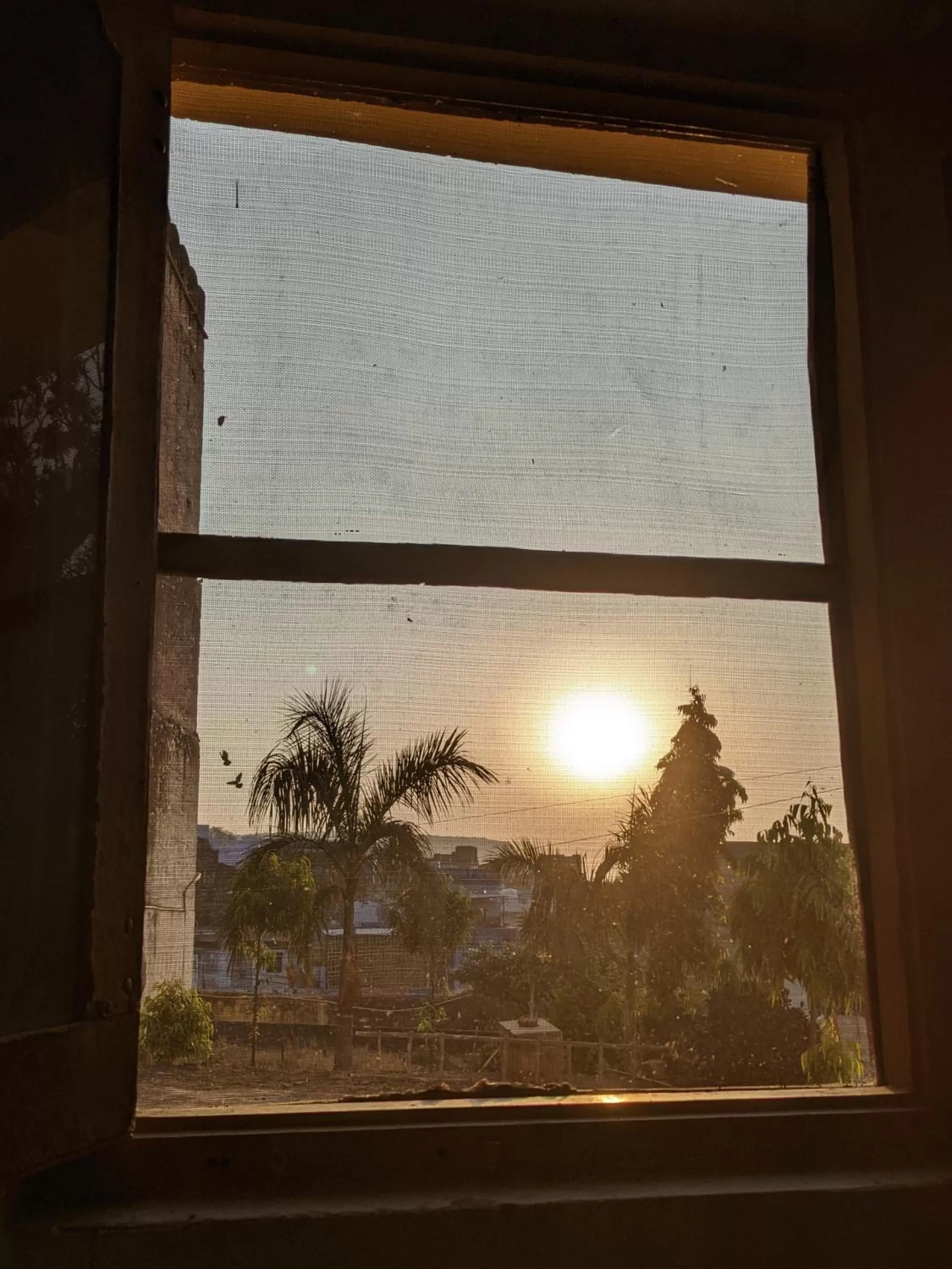 Garden view in Haveli Elephant Stable
