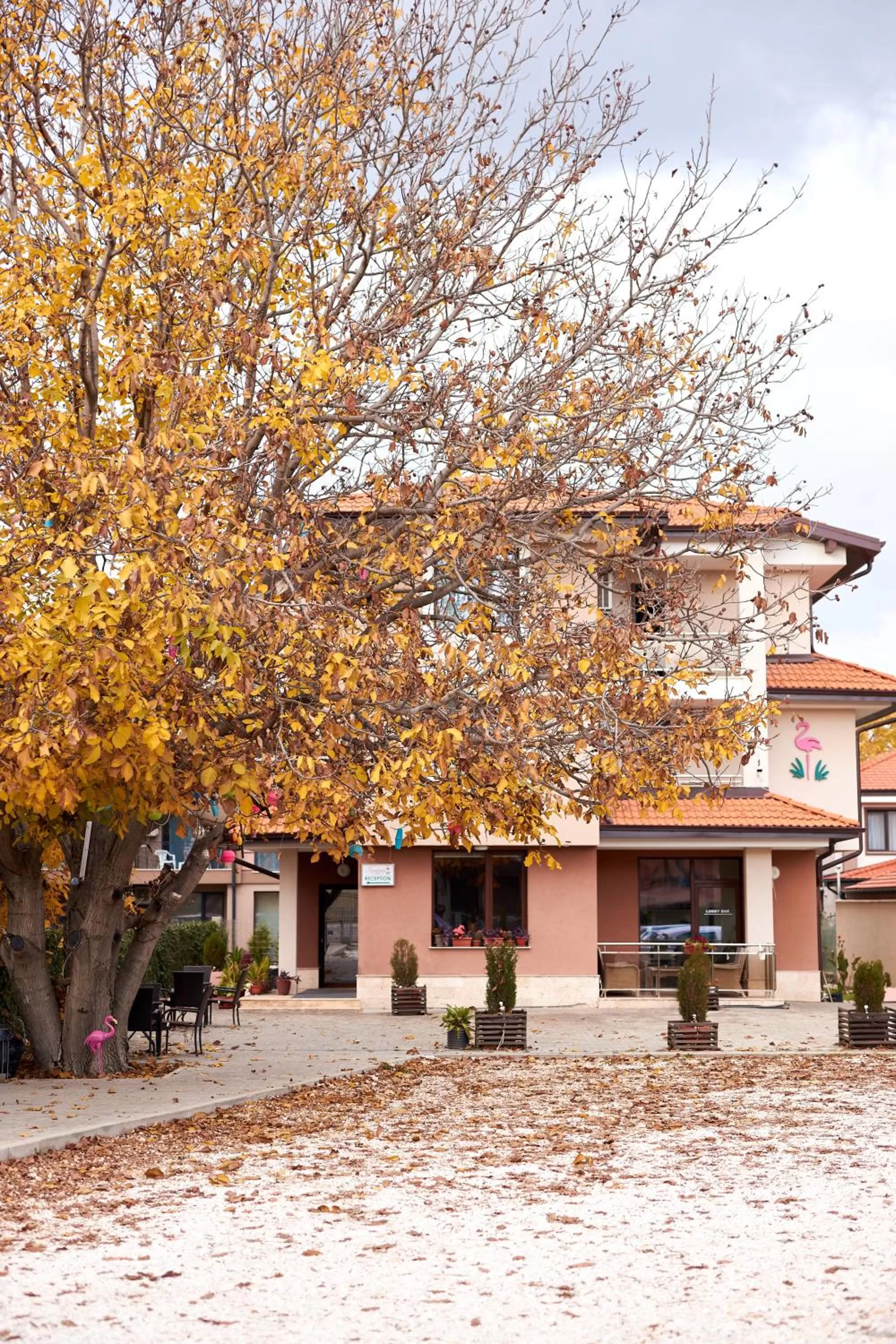 Property building in Flamingo Plovdiv