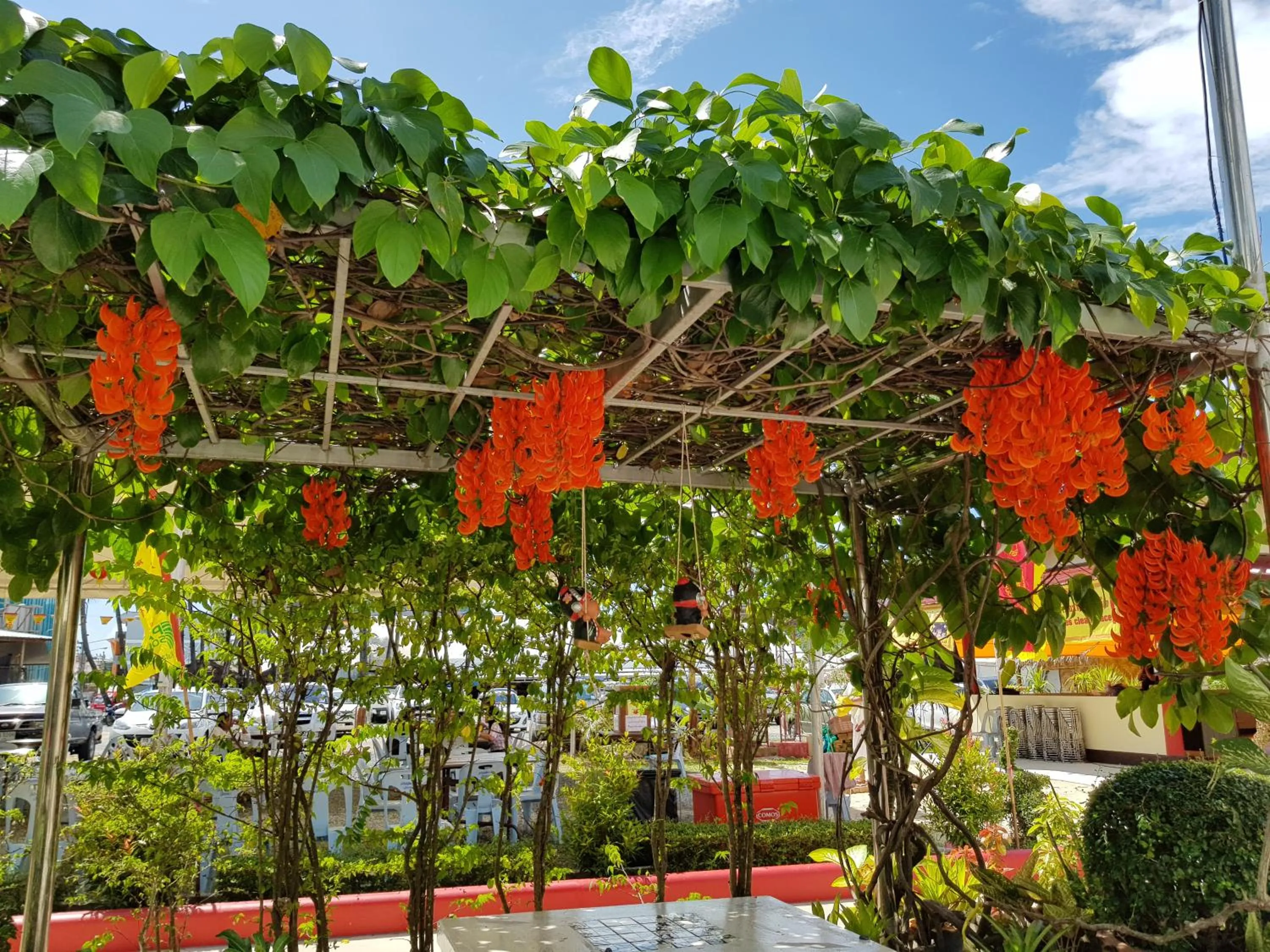 Garden in The BluEco Hotel SHA Plus