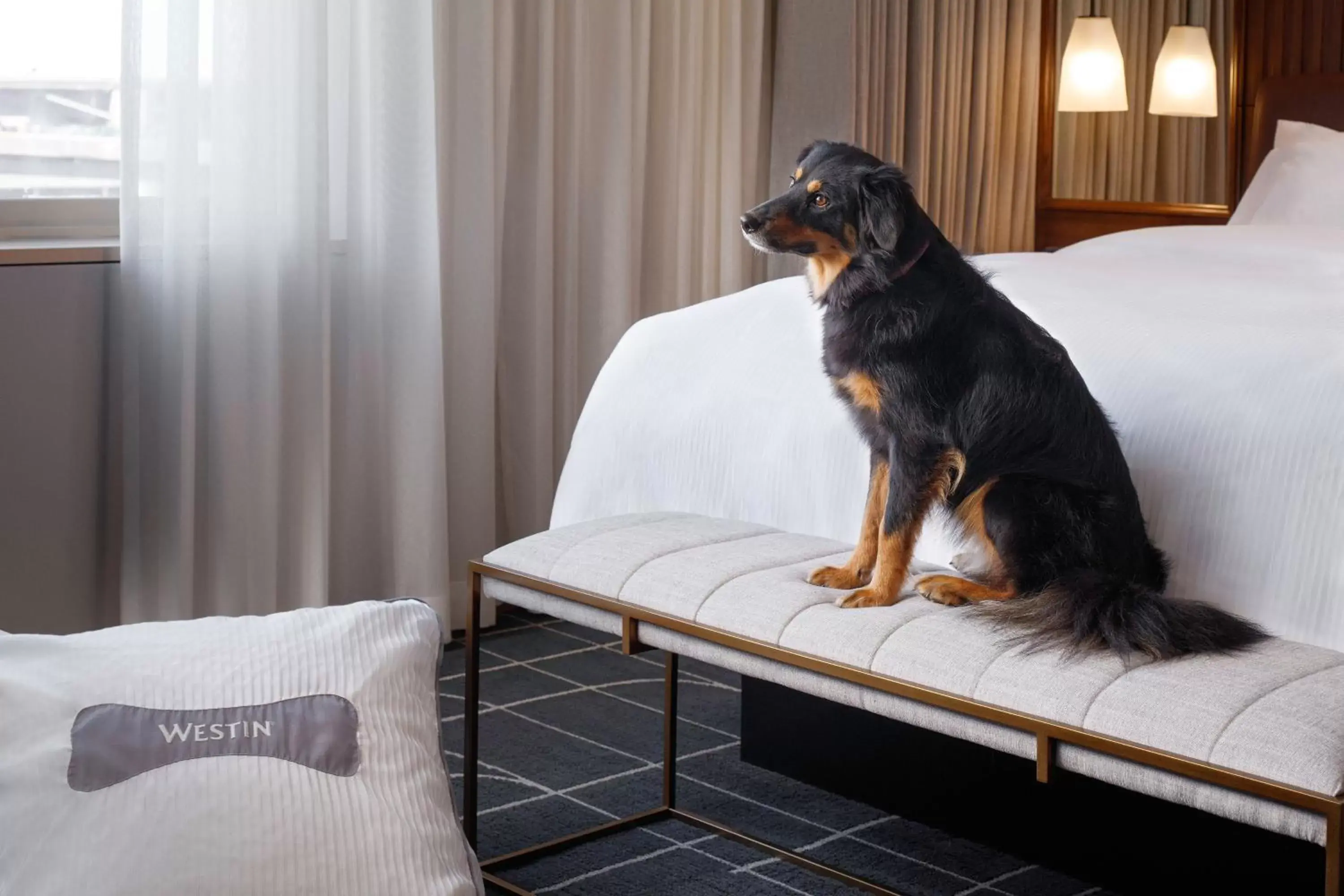 Deluxe King Room - Hearing Accessible in The Westin St. Louis Deluxe King Room - Hearing Accessible in The Westin St. Louis