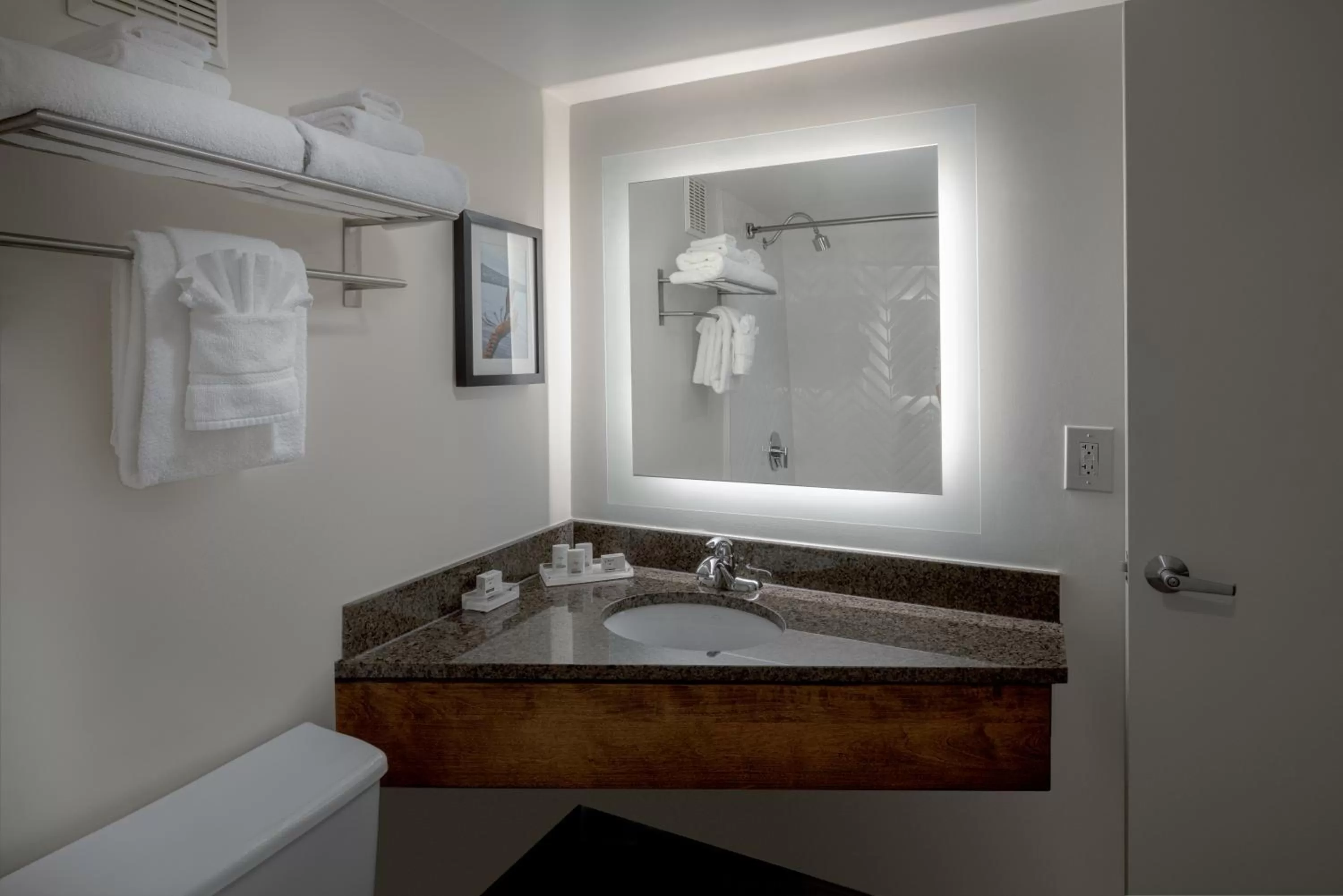 Bathroom in Holiday Inn Portland-By the Bay by IHG