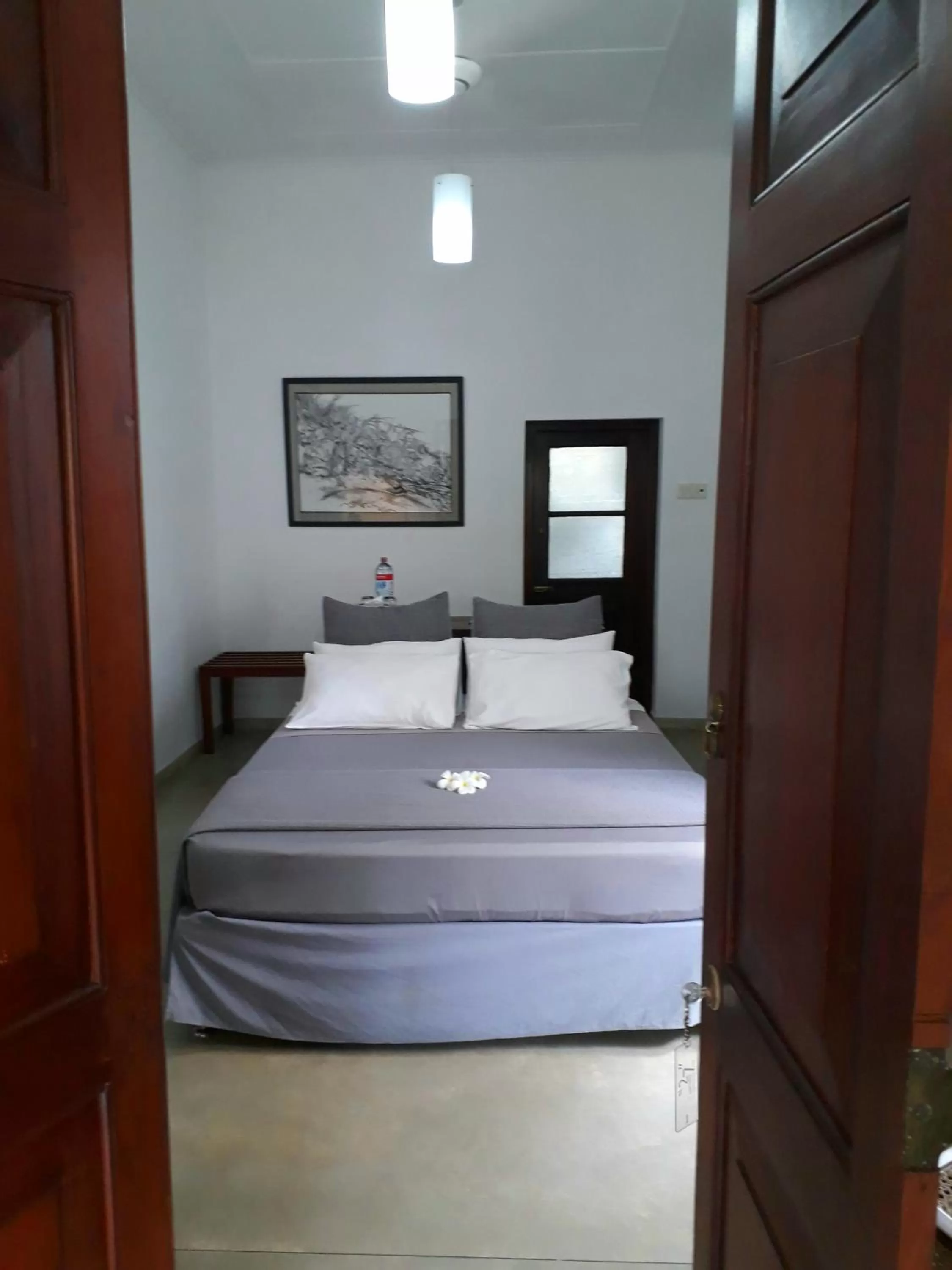 Bed in "27" Spathodea- Oasis in the City