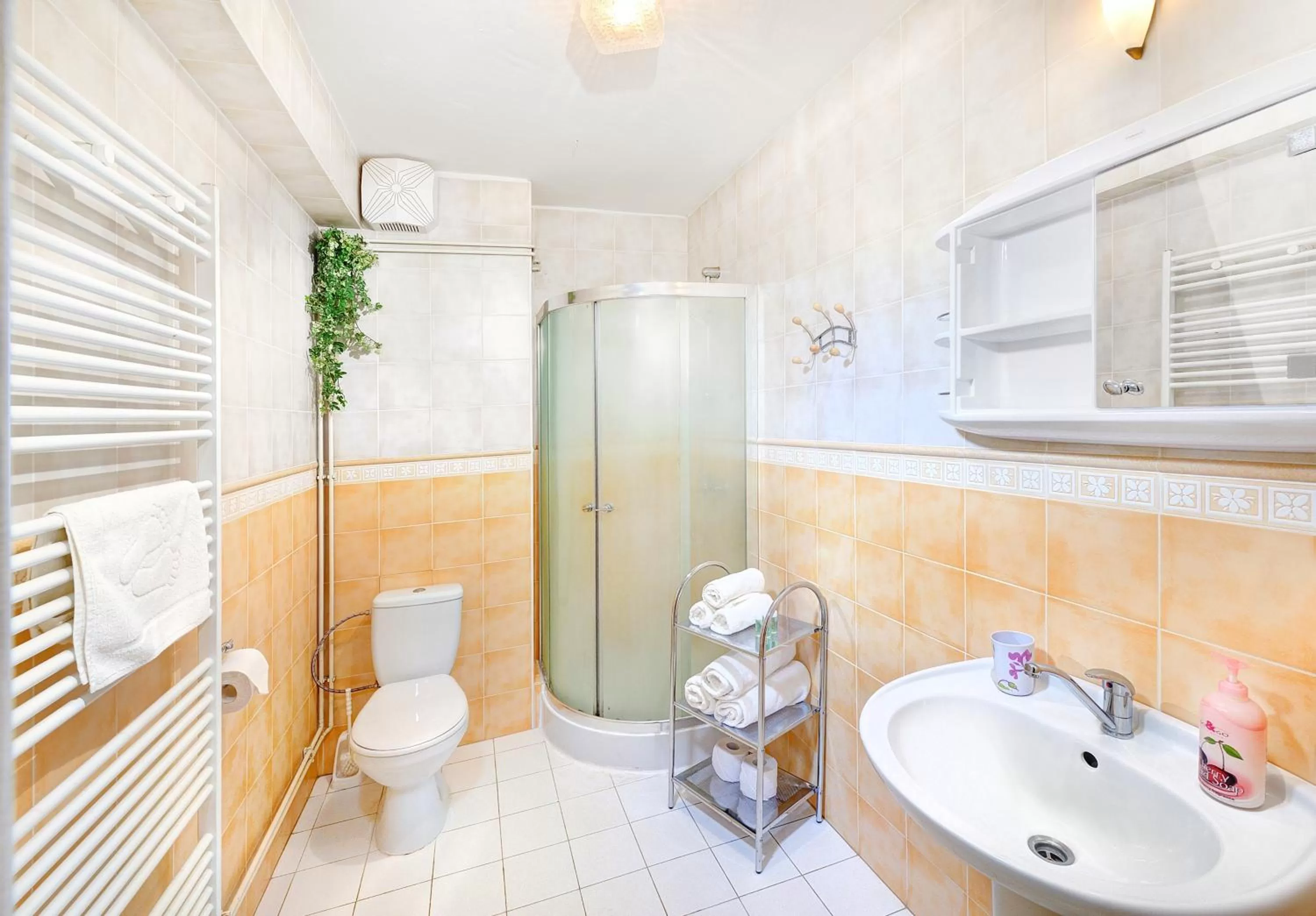Shower, Bathroom in Apartmány Renomal