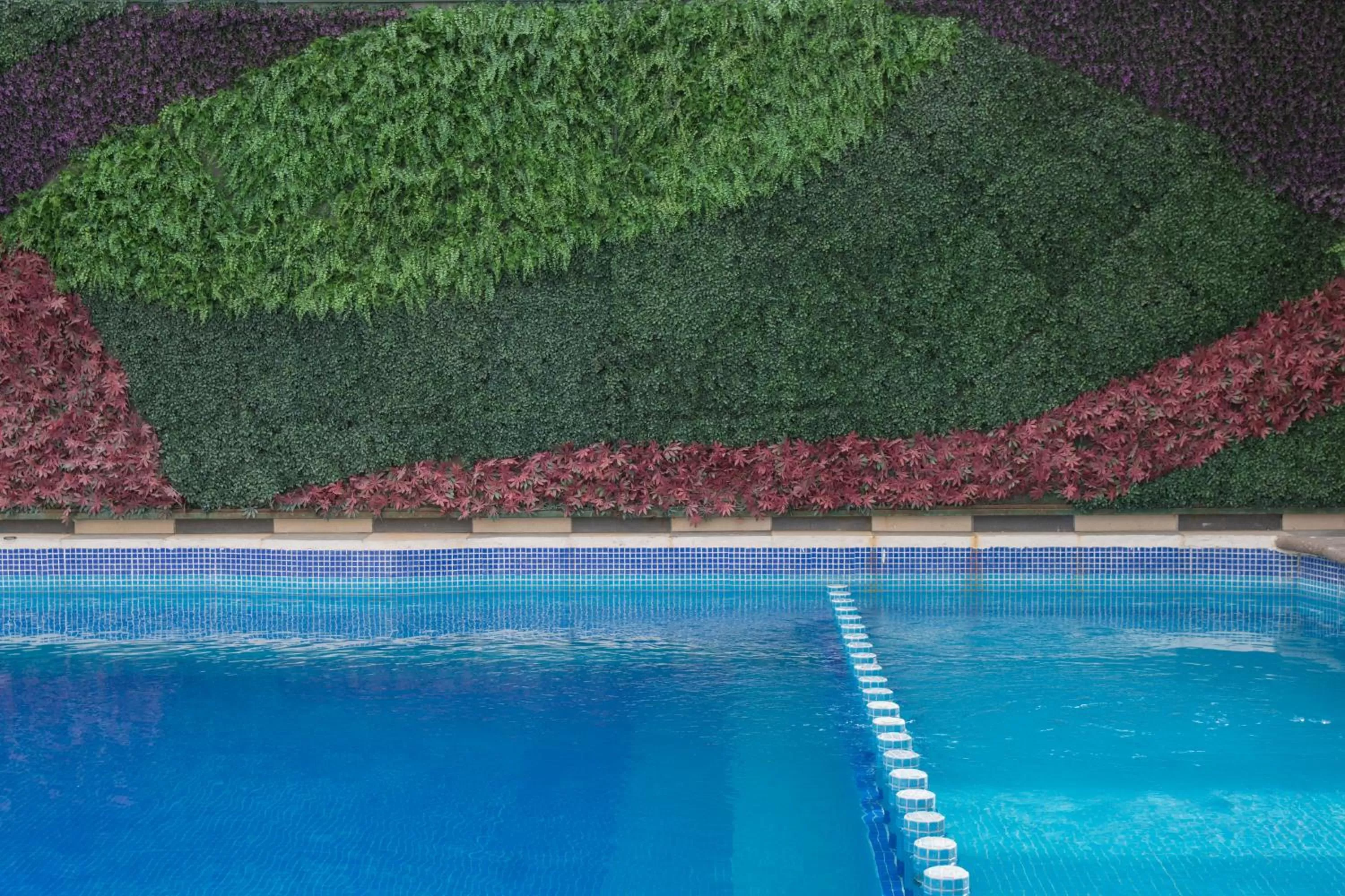 Swimming pool in Hotel Morales Historical & Colonial Downtown Core