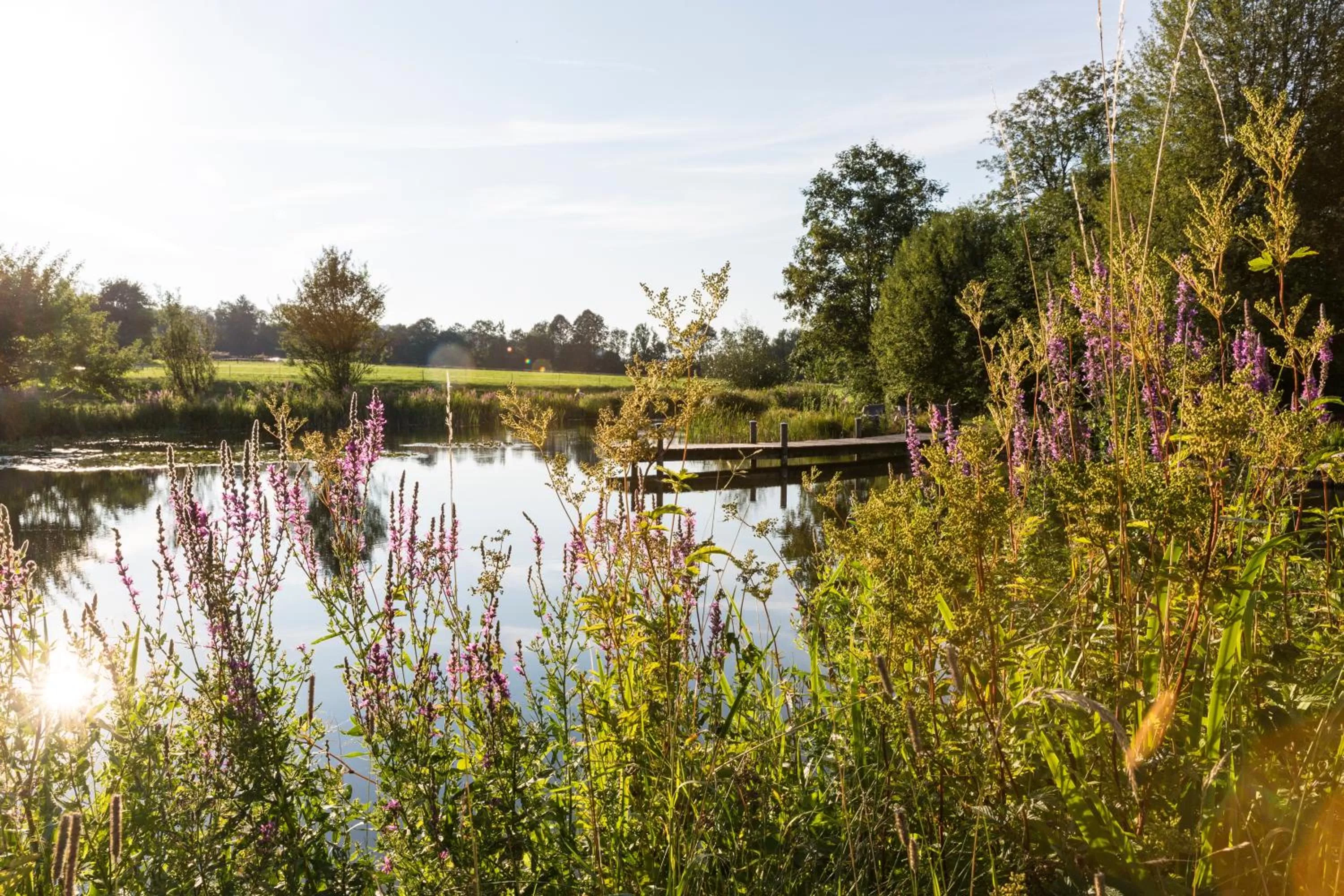 Garden in Hotel Hörterer Der Hammerwirt