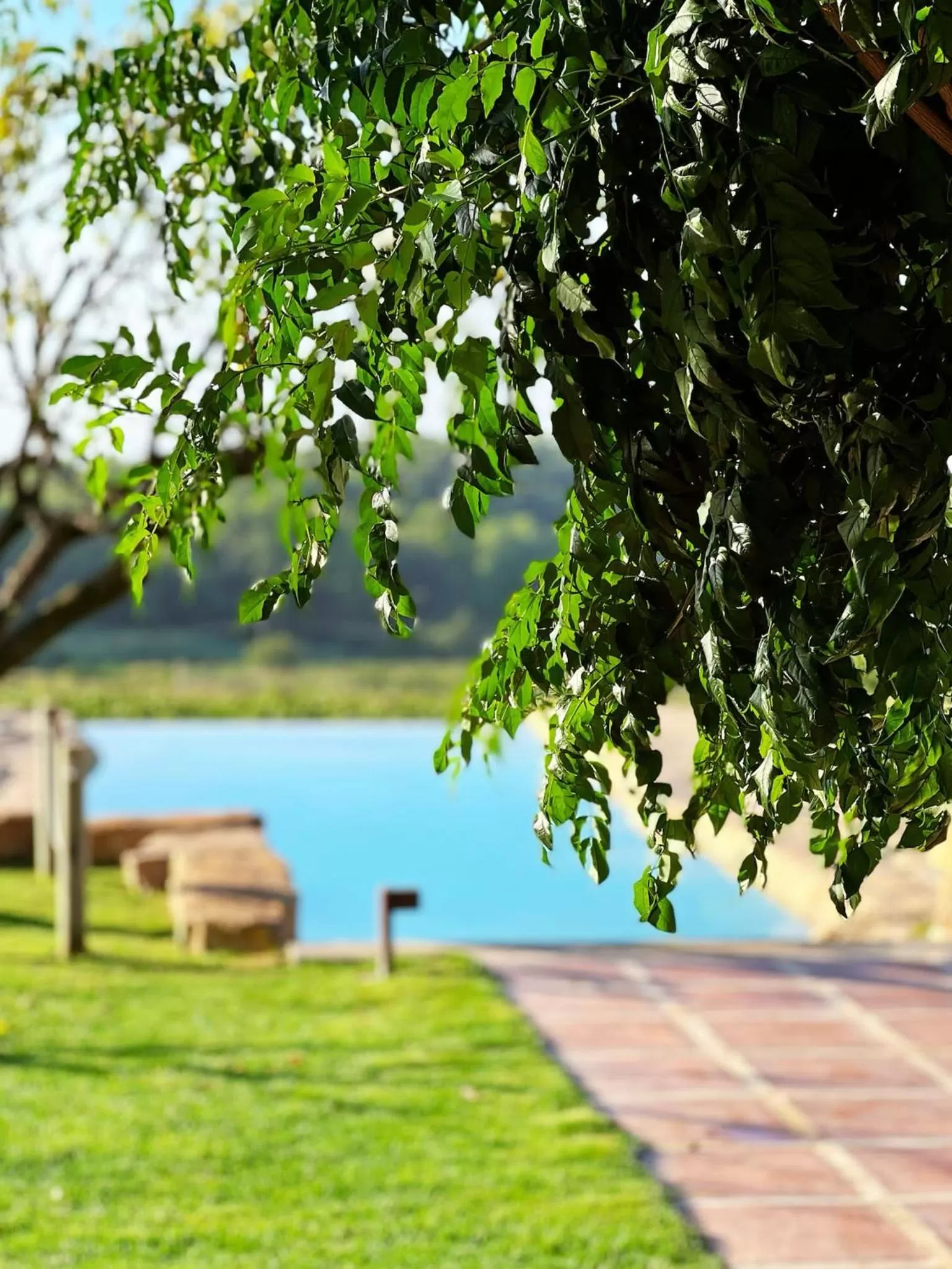 Hotel Montrubí 1771 - Slow Winery Hotel - Adults only