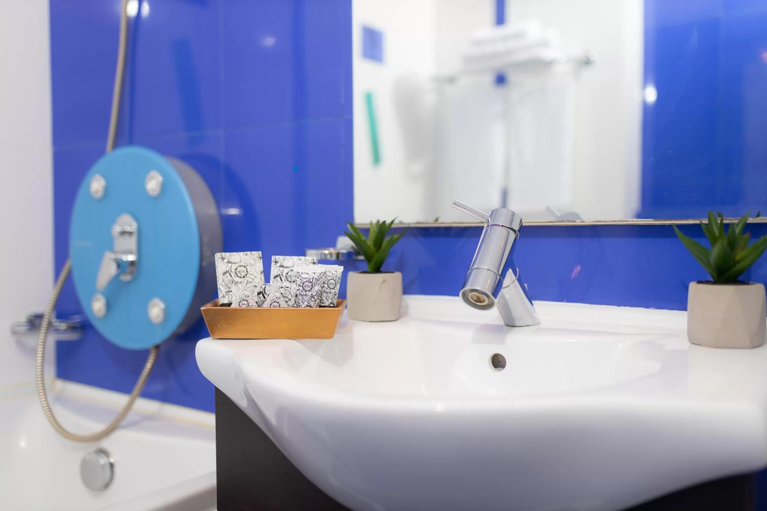 Bathroom in Hotel Terra Balneo