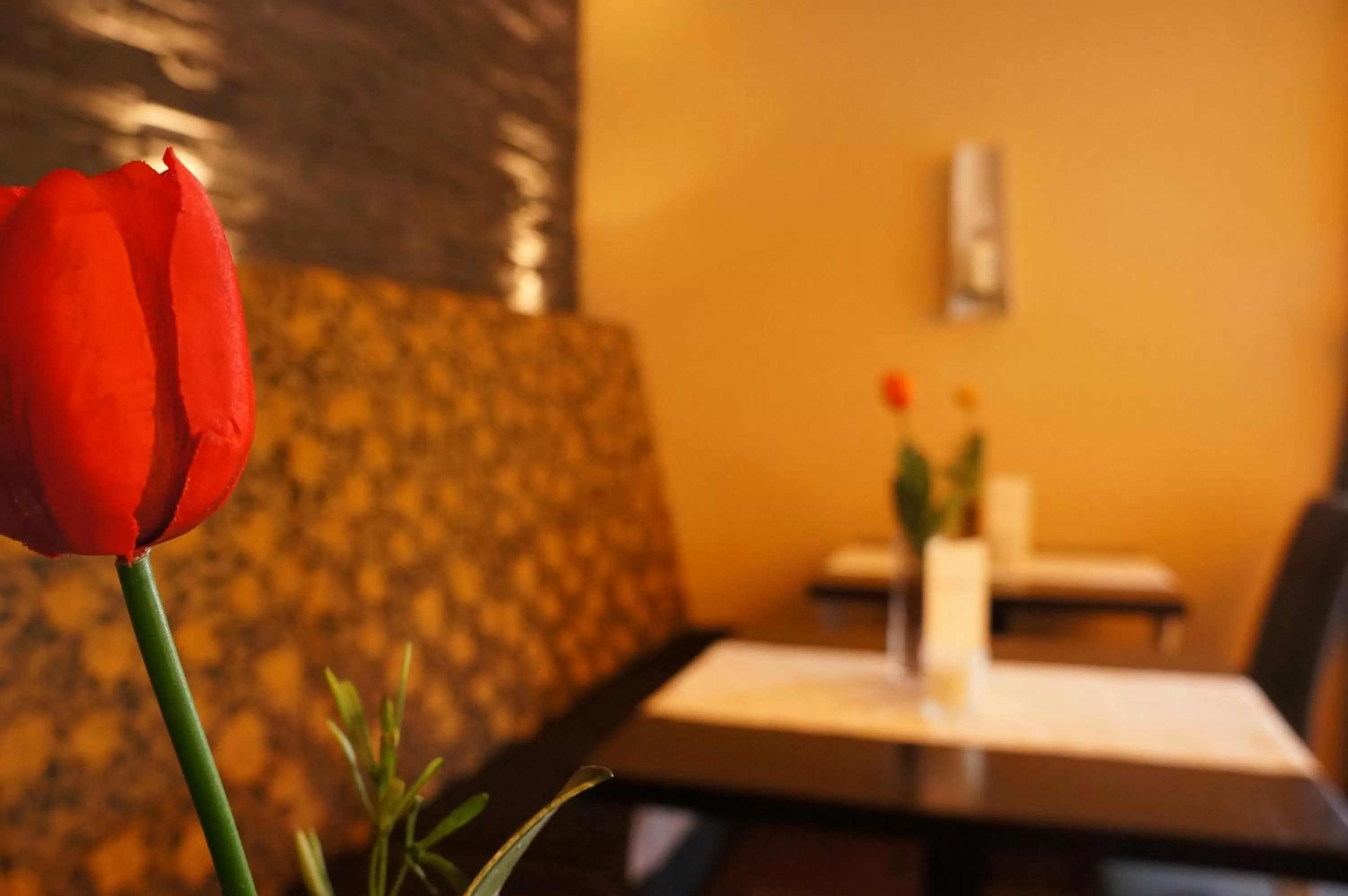 Restaurant/places to eat in Moselhotel & Restaurant Zur Traube GmbH