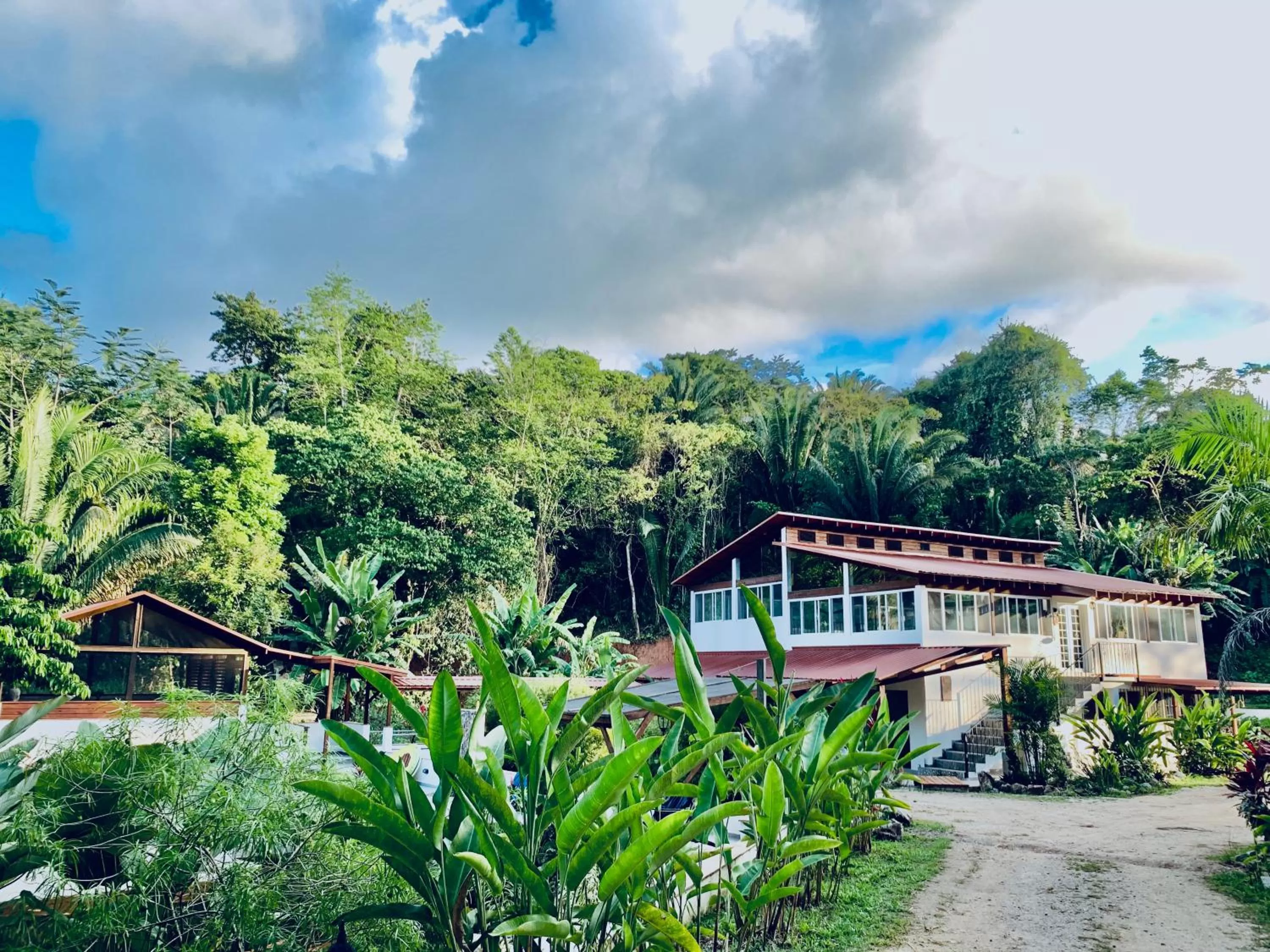 Garden, Property Building in Sattva Land