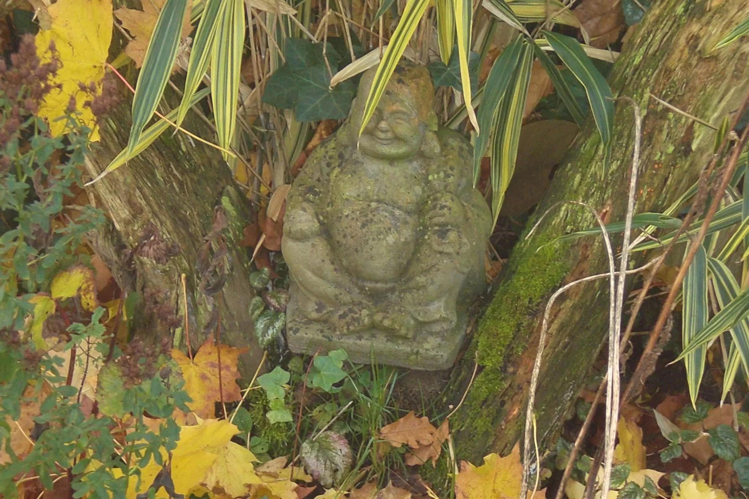 Day, Other Animals in B&B De Slaperije