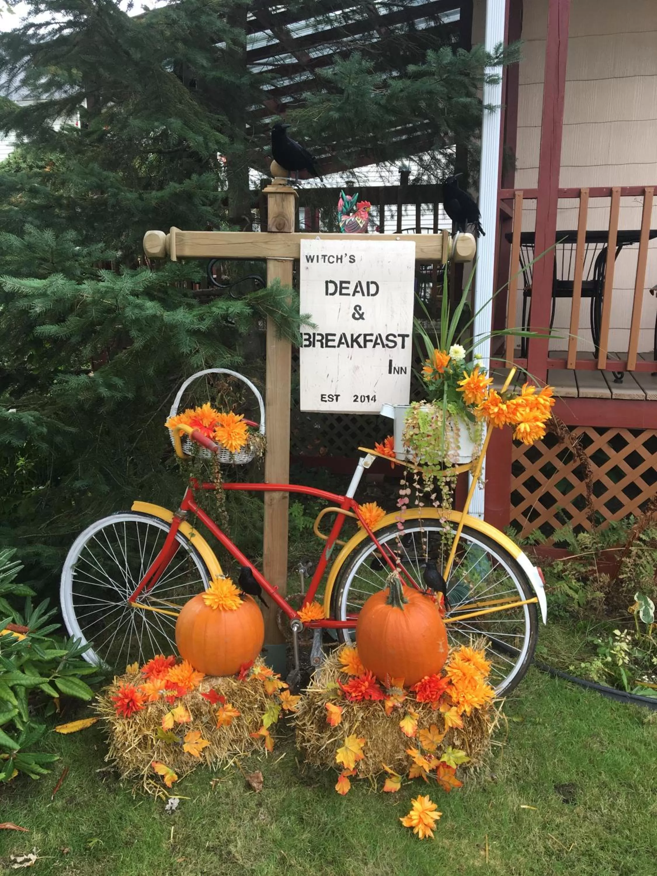 Property building in À Amour et Amitié