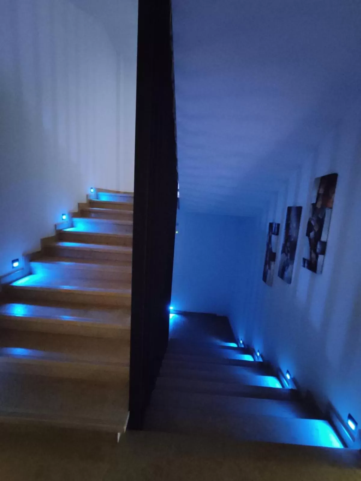 Property building in LOTUS HOTEL Casanearshore