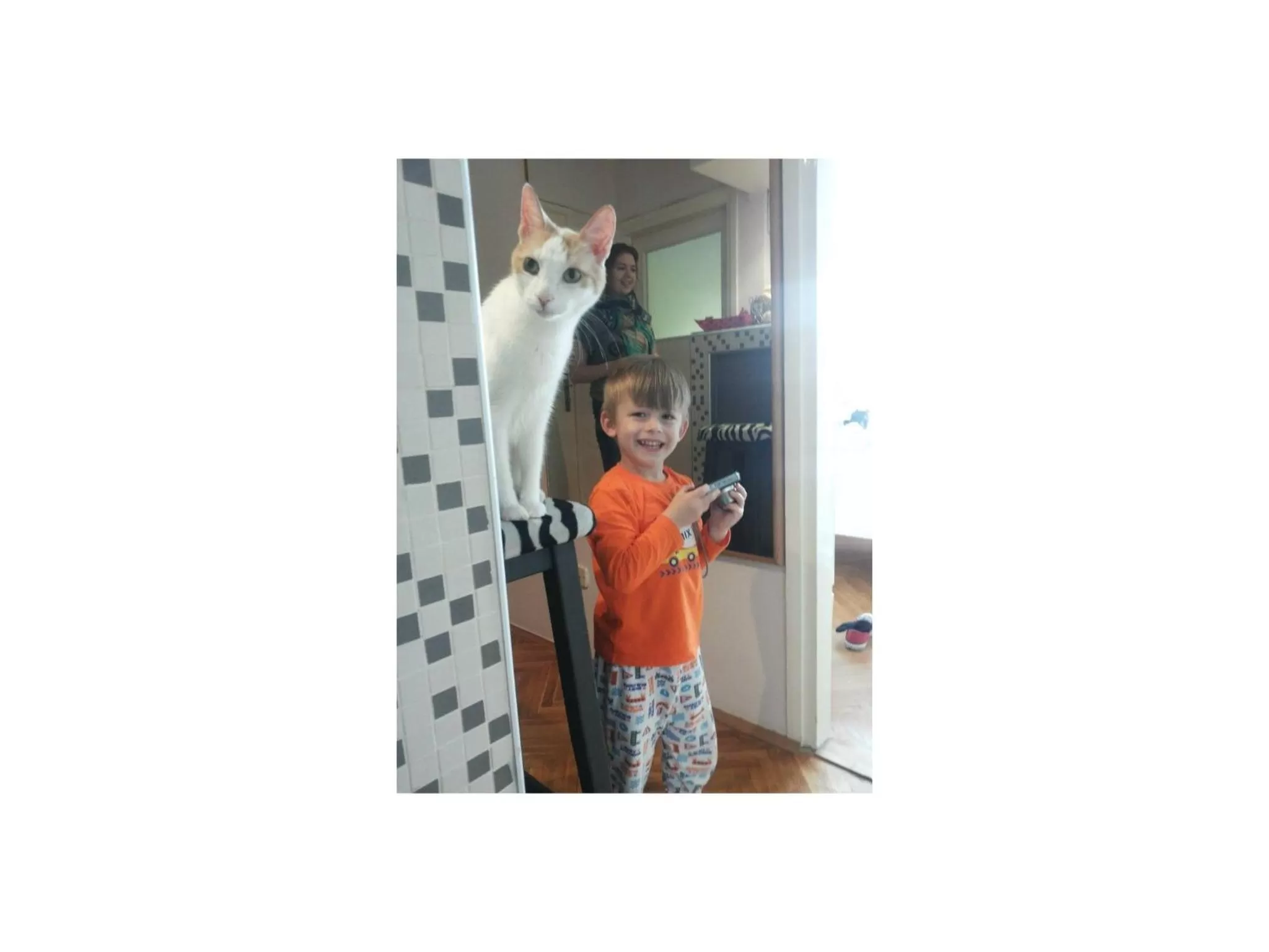 Pets in B&B Girasole