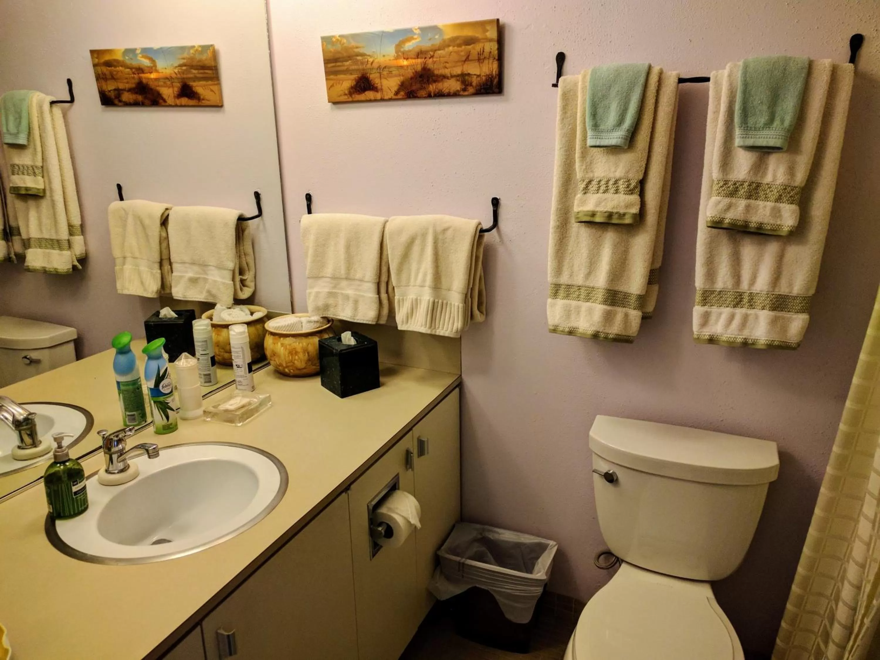 Ann Arbor Bed and Breakfast