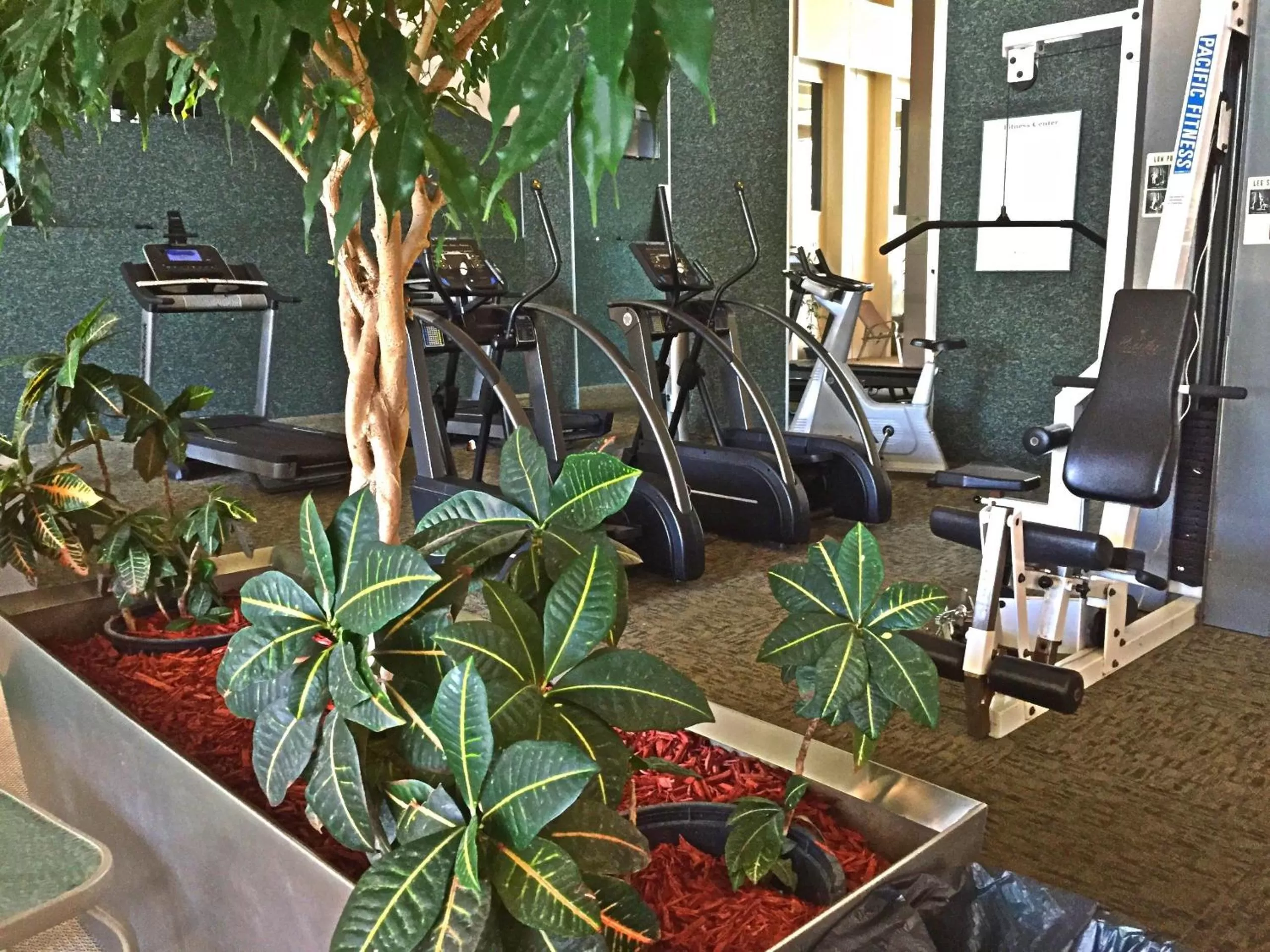 Fitness centre/facilities in Greenwell Inn