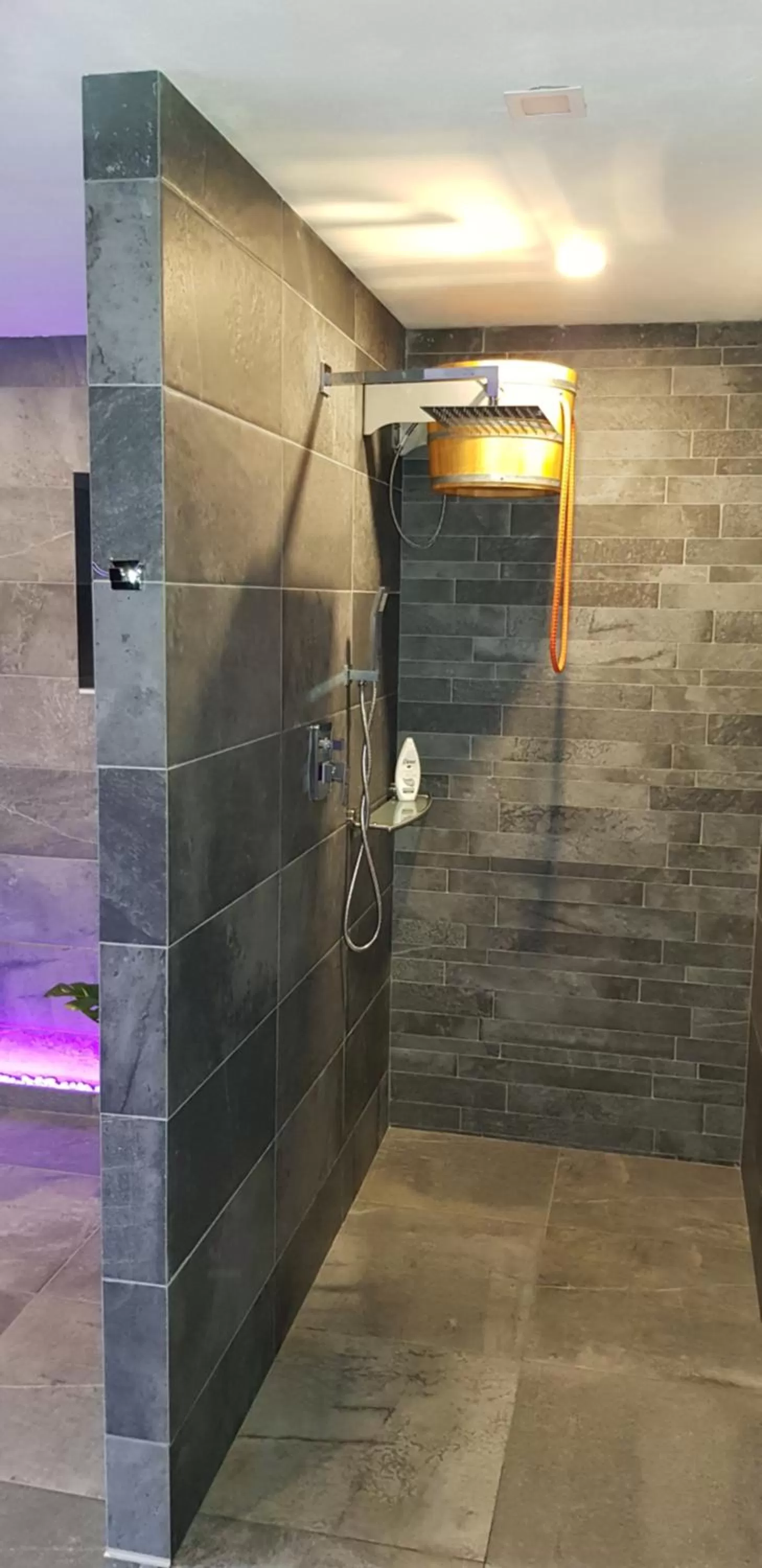 Sauna, Bathroom in Apartmány Meandry