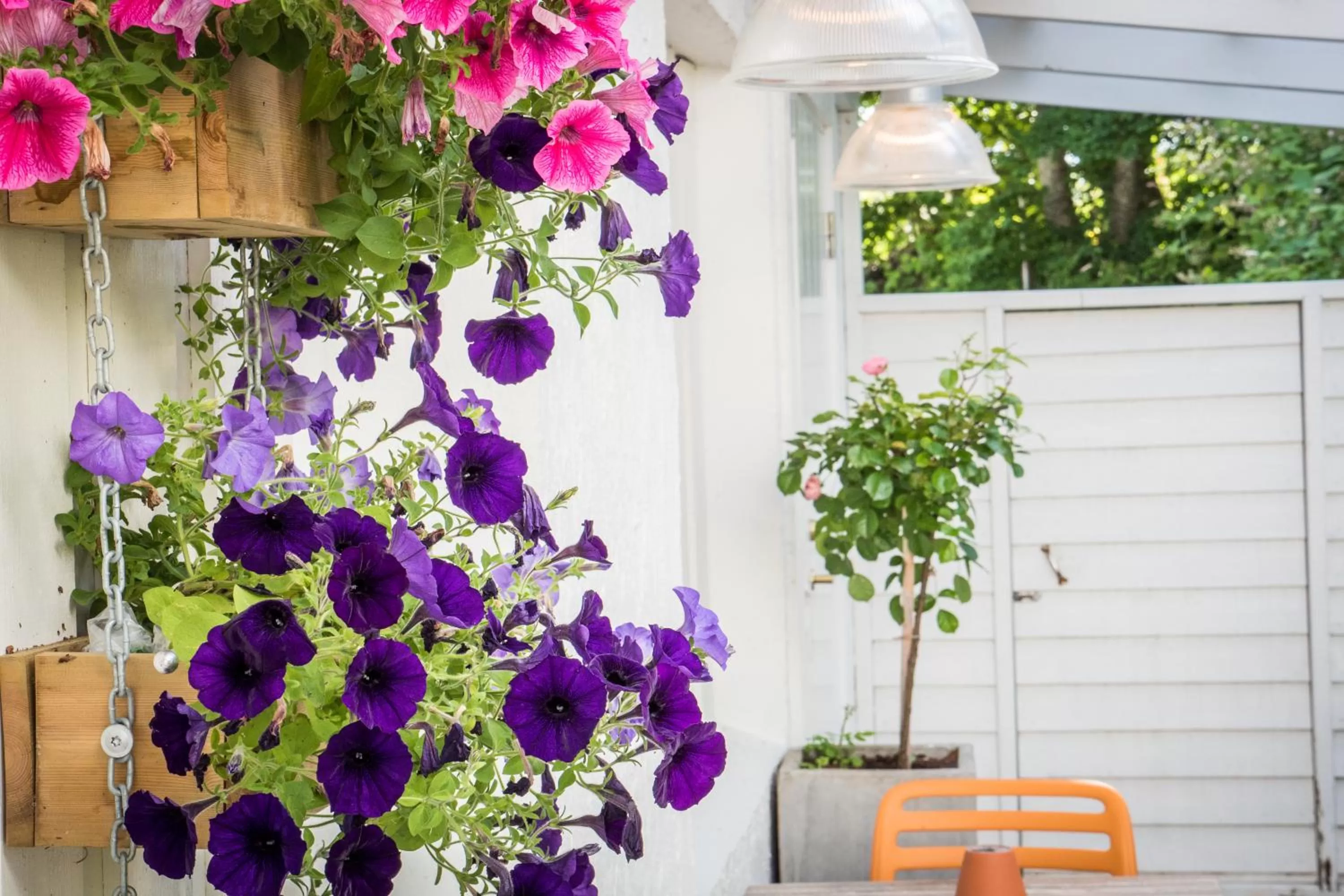 Balcony/Terrace in Lilland Brewery Hotel