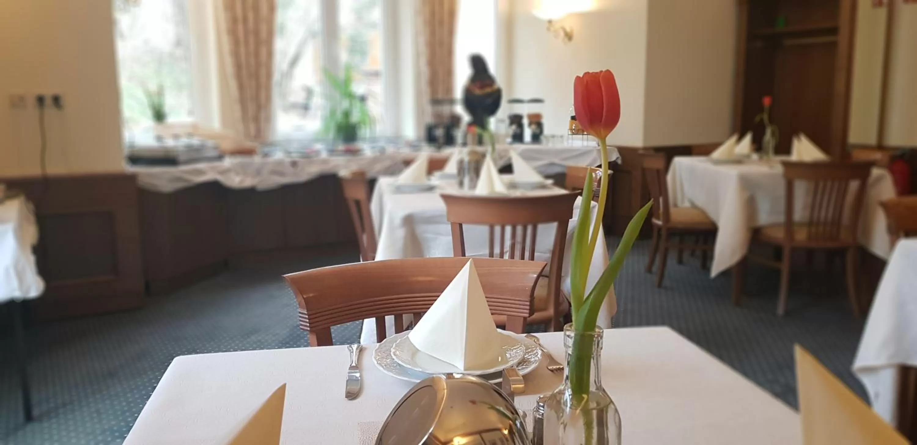 Dining area in Hotel Altberesinchen
