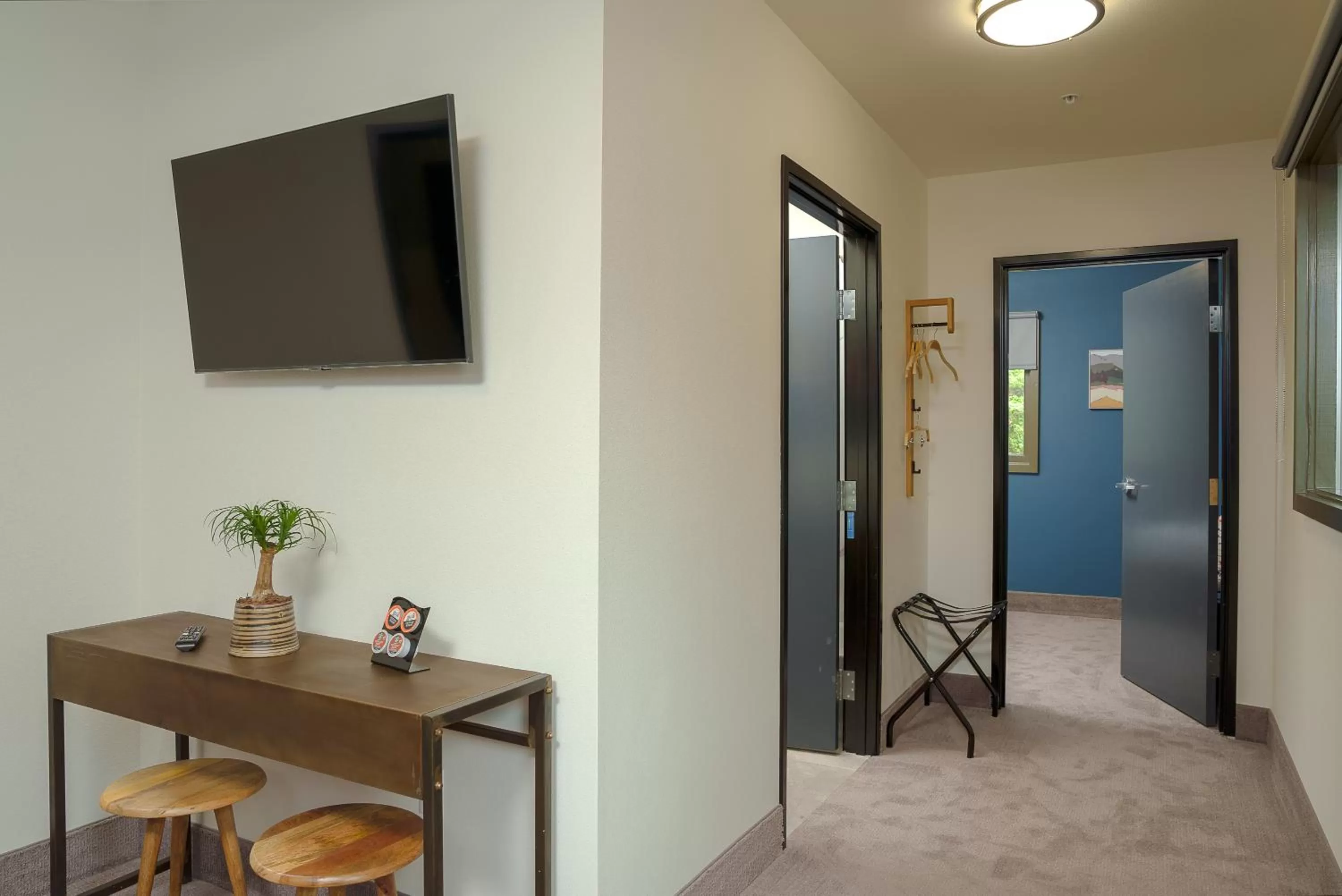 TV and multimedia in The Inn at 515 15th