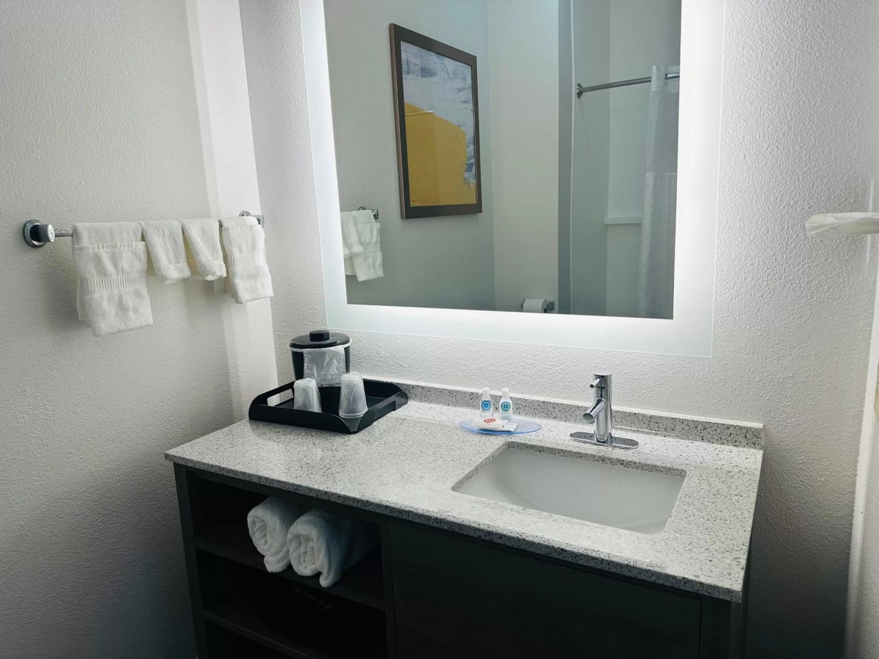 Bathroom in Comfort Inn & Suites Wylie