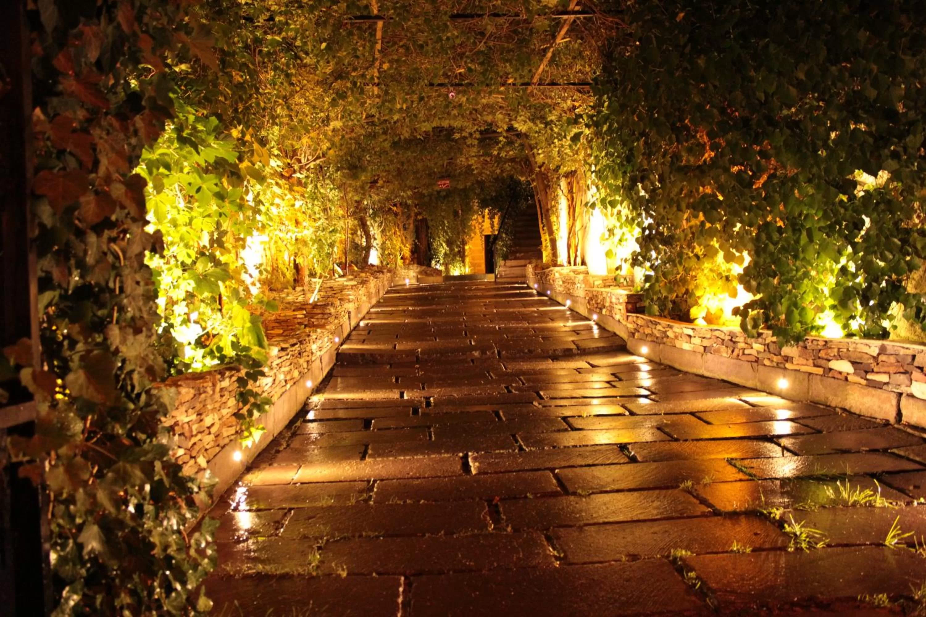 Facade/entrance in Local Cave House
