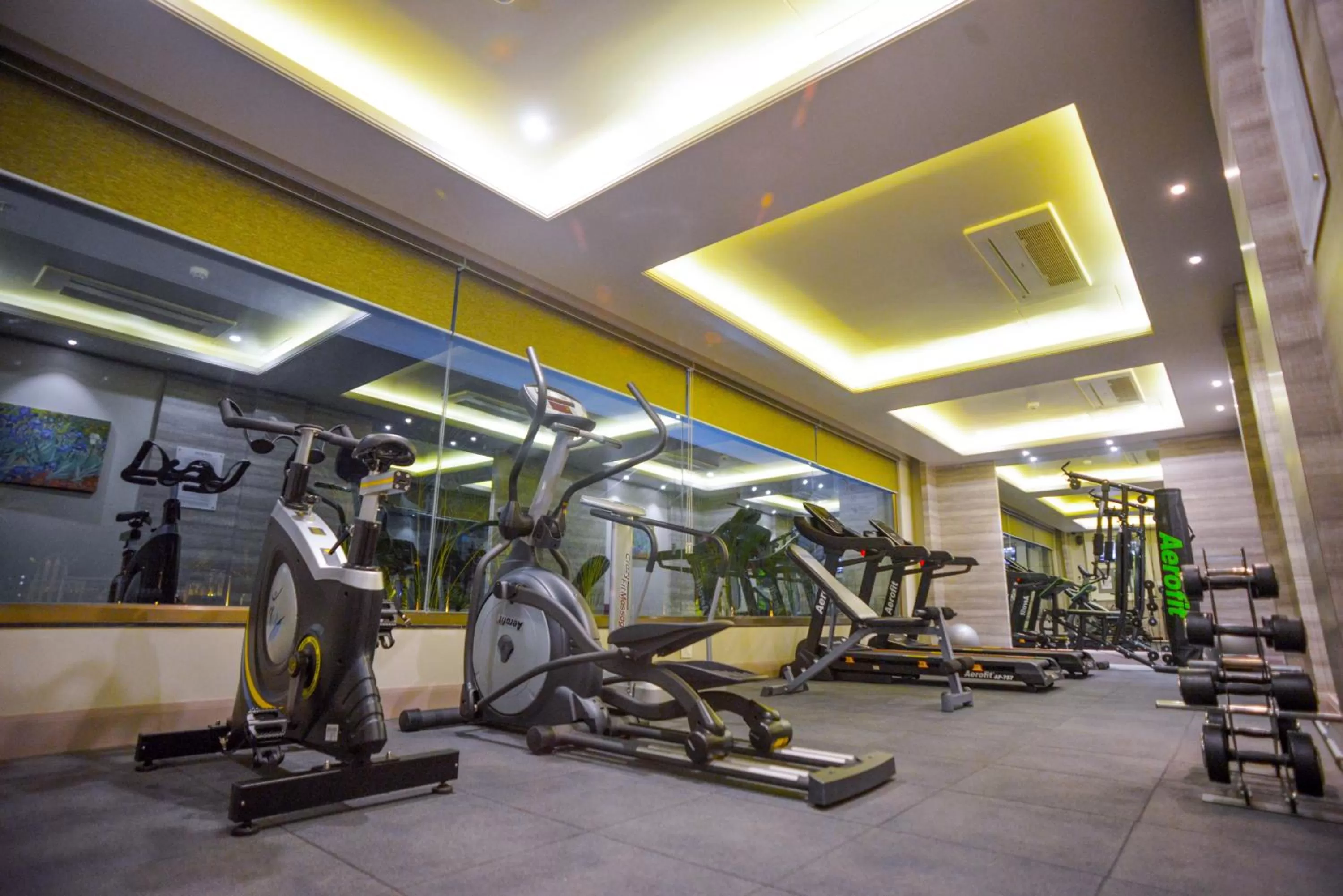 Fitness centre/facilities in Efcee Sarovar Premiere Bhavnagar