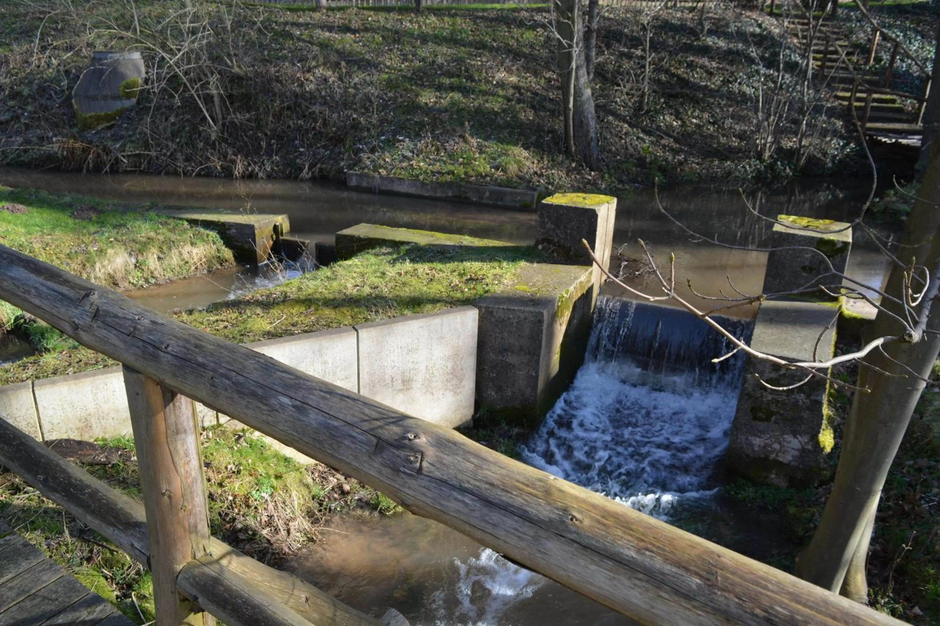 Day in Waldecker Taverne