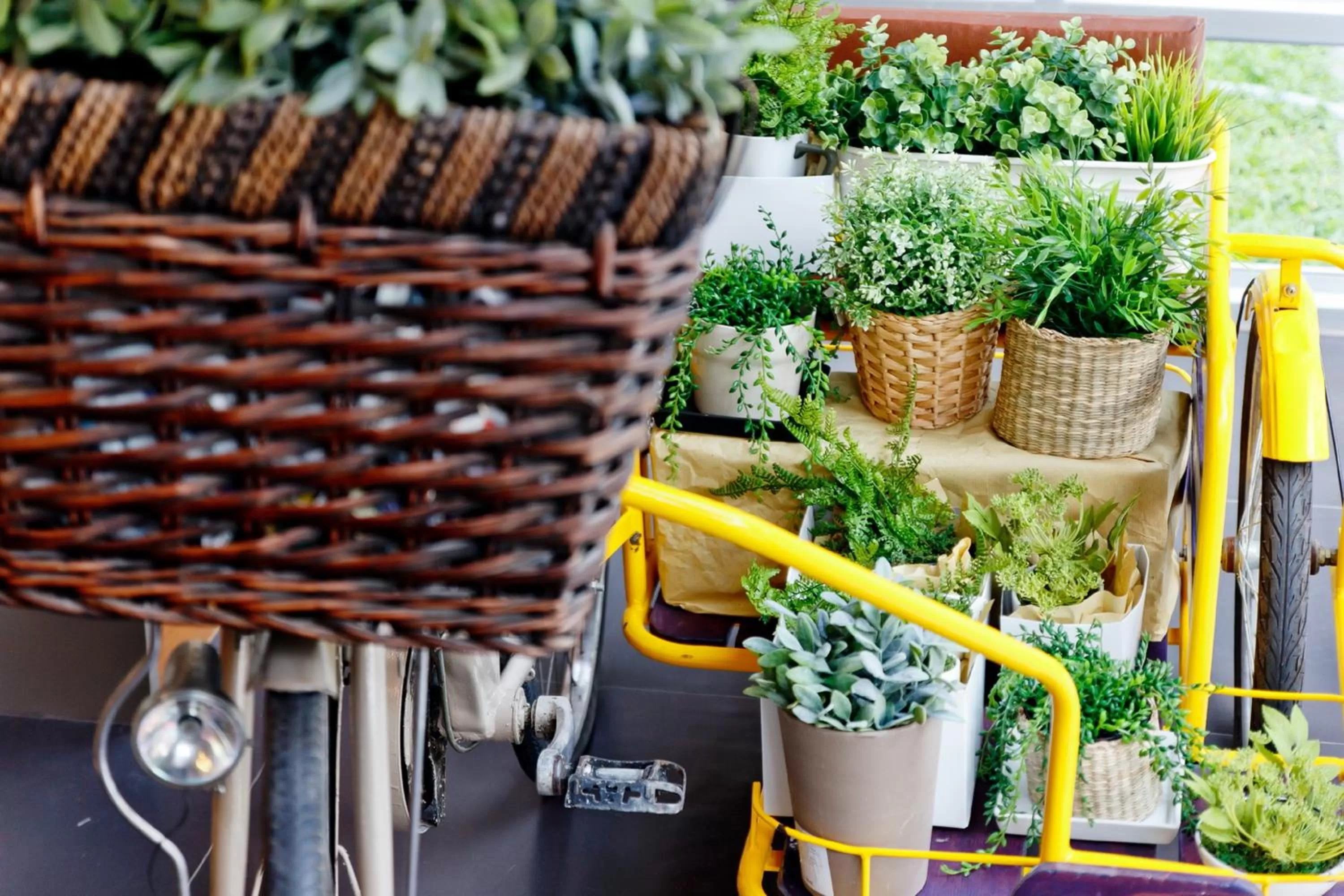 Garden in Lemontea Hotel Bangkok