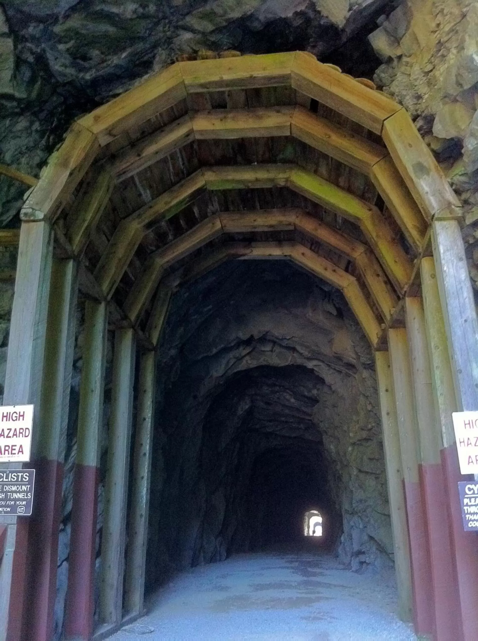 Hiking in Evergreen Bed & Breakfast