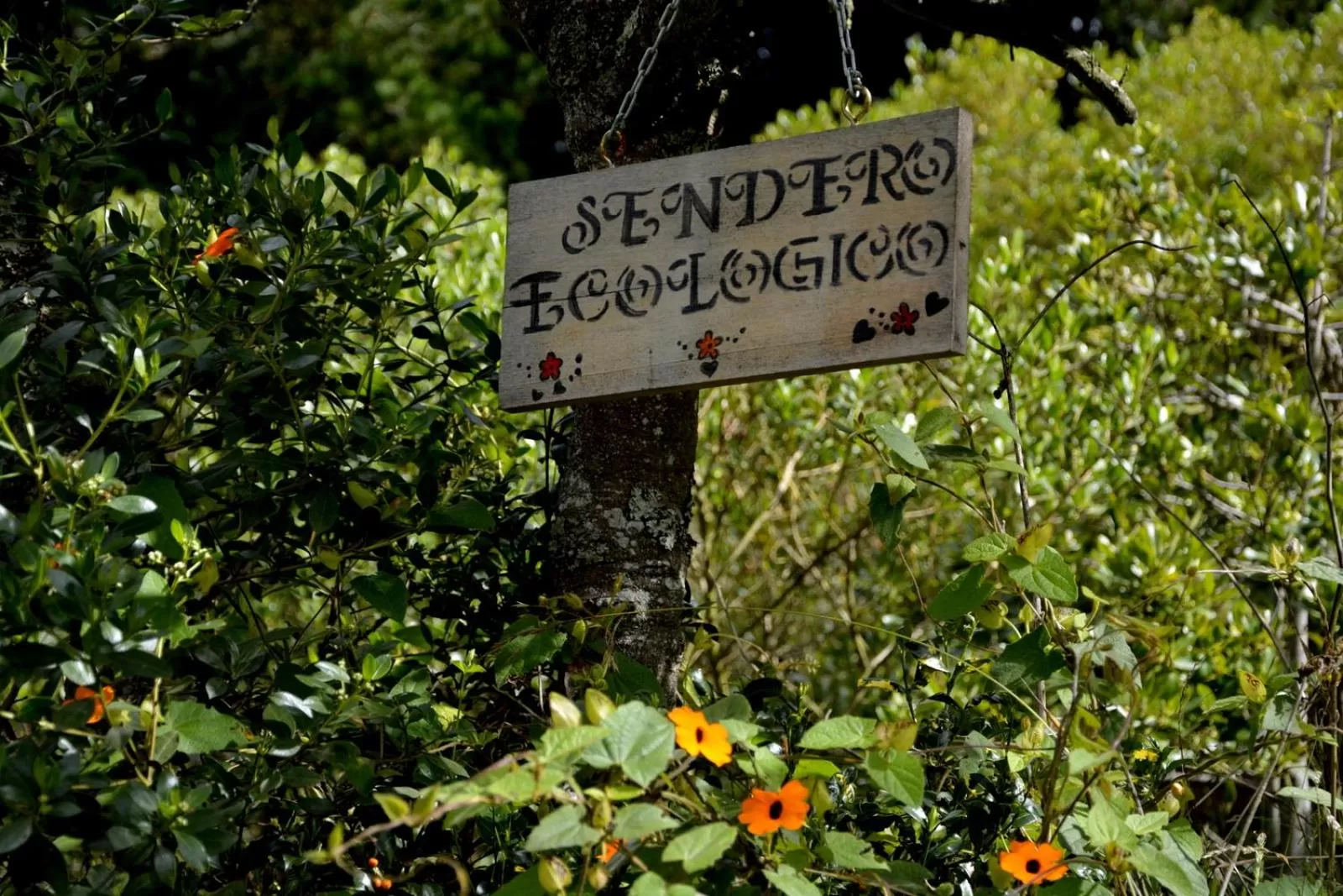 Garden view, Property Logo/Sign in El Pedregal Sopó