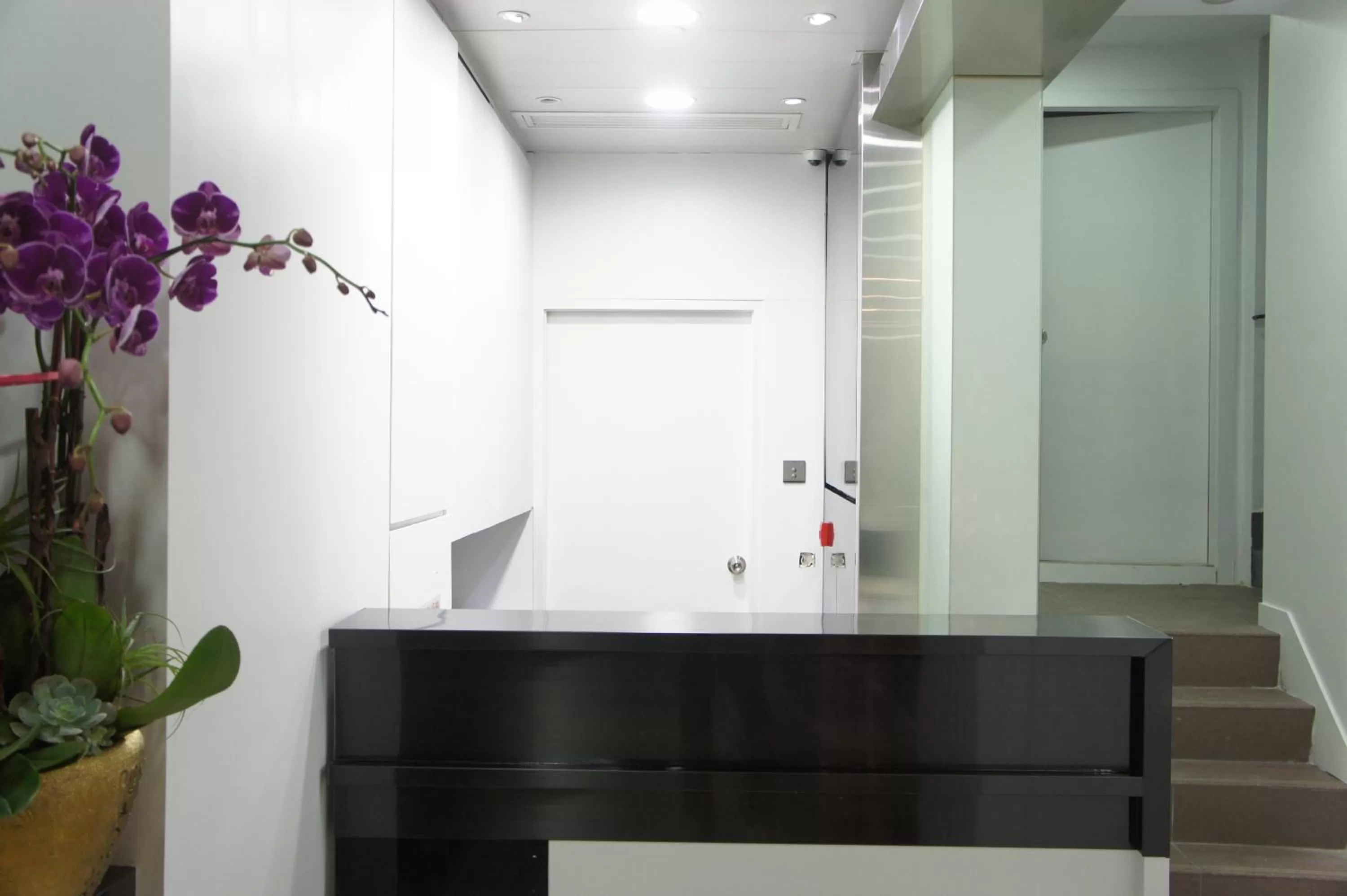 Property building in Homy Central