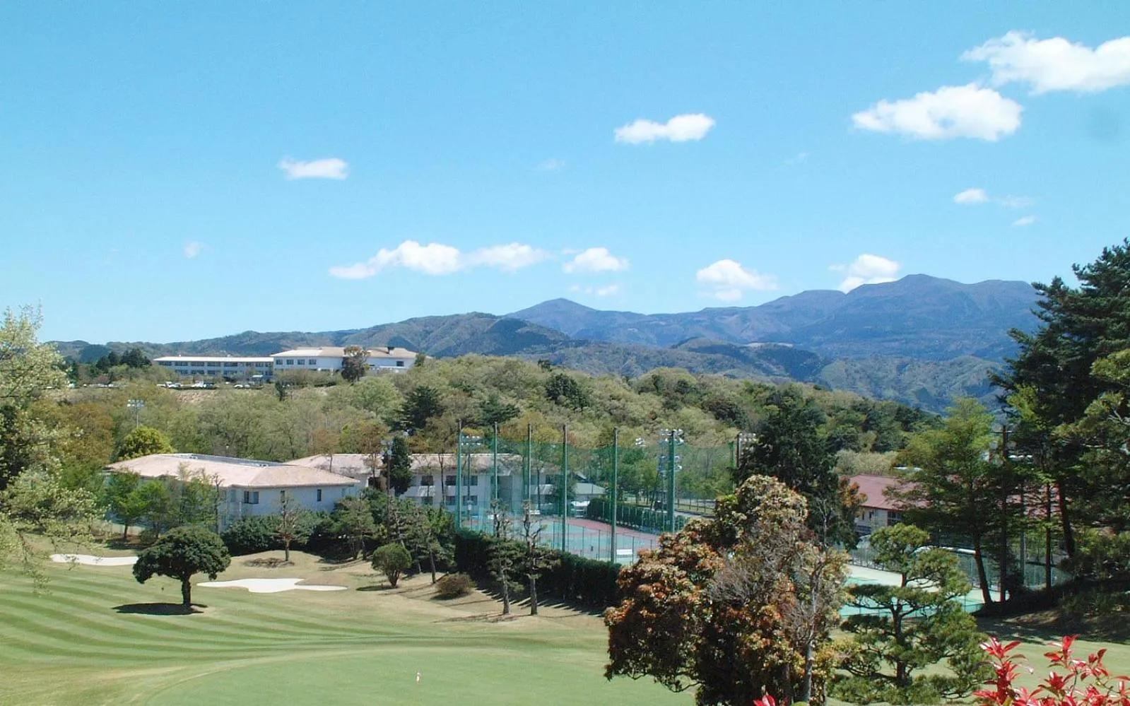 Natural landscape in Hotel Laforet Shuzenji