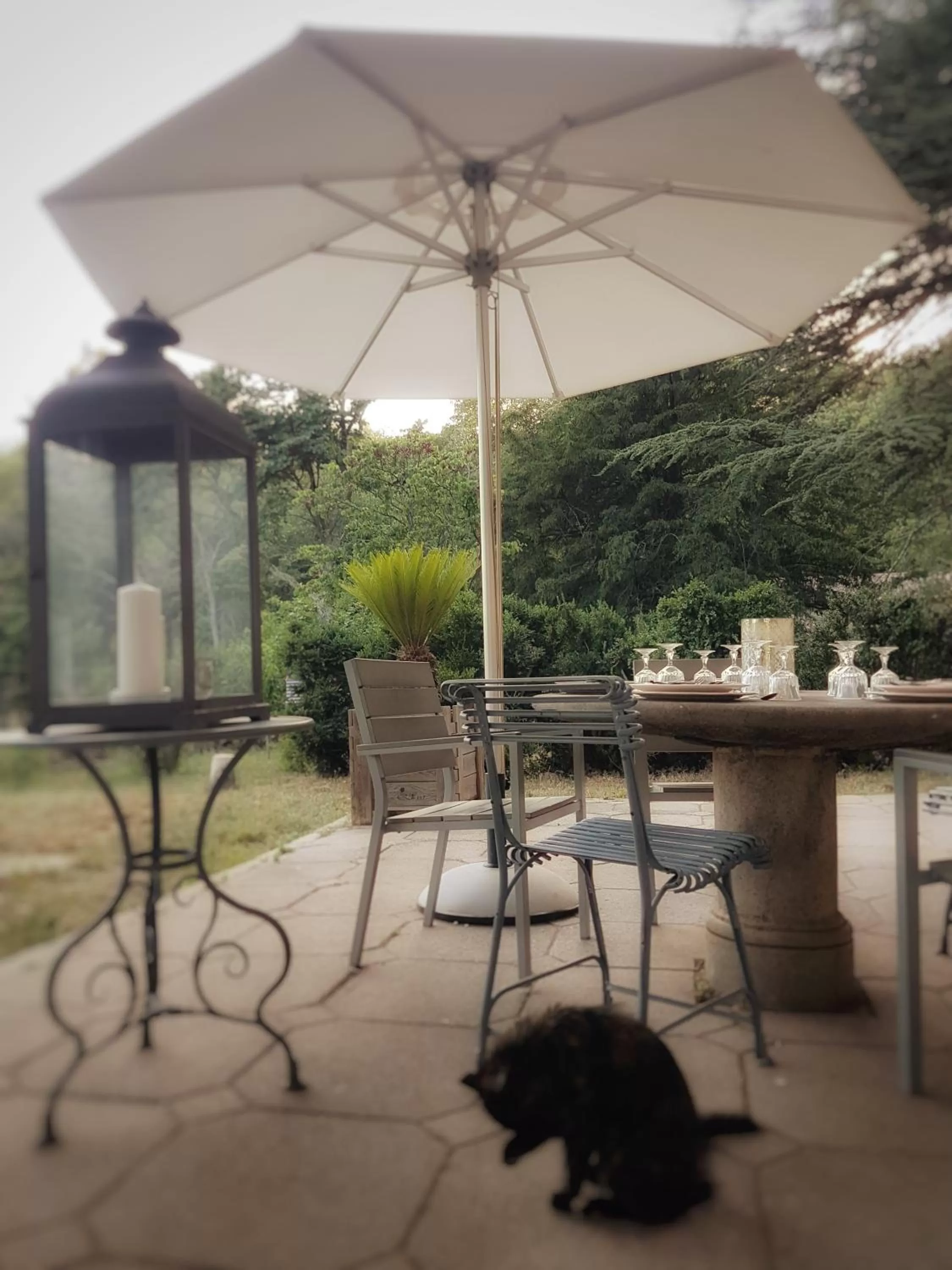 Dinner in Le Domaine Saint Martin