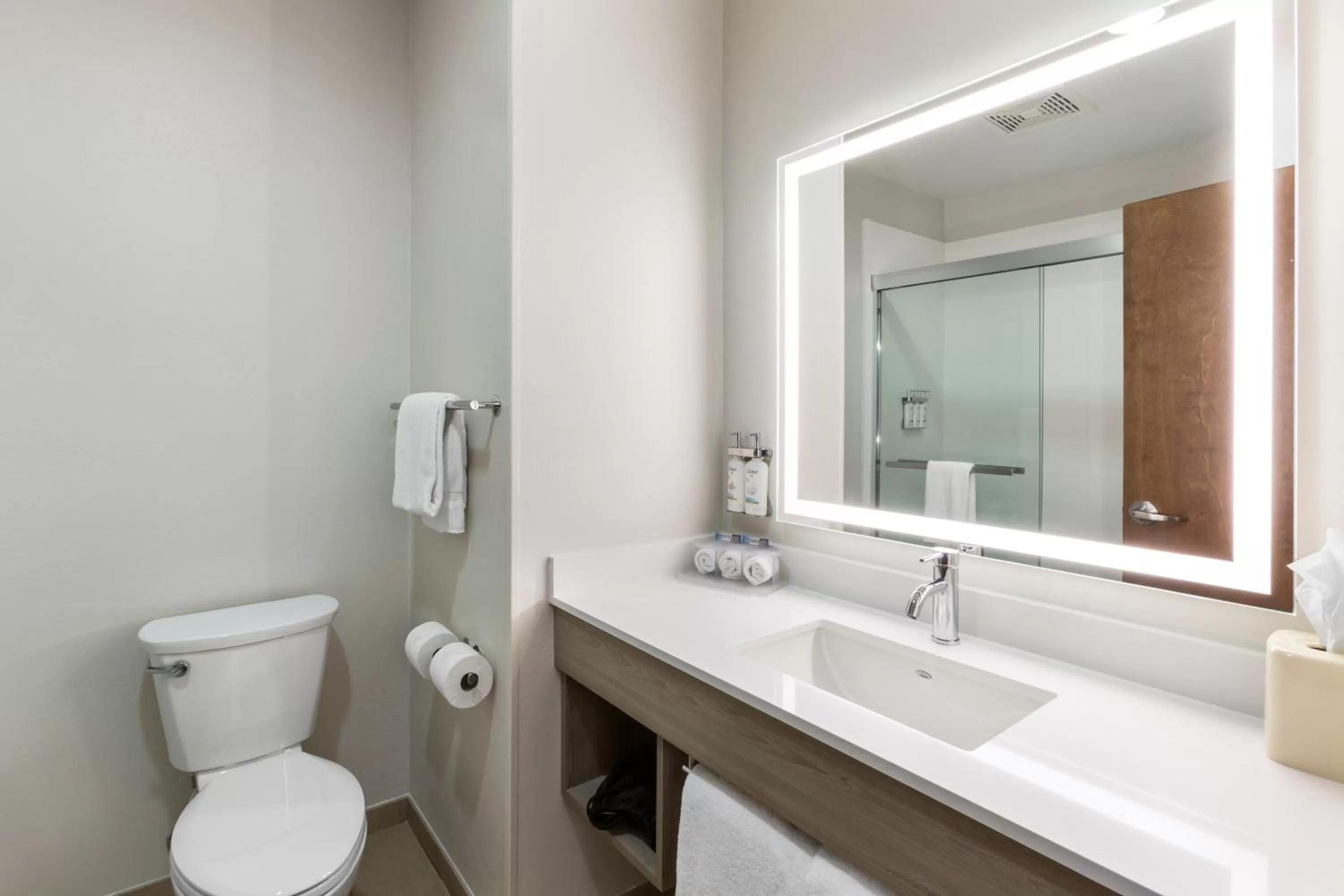Bathroom in Holiday Inn Express Belgrade-Bozeman Area by IHG