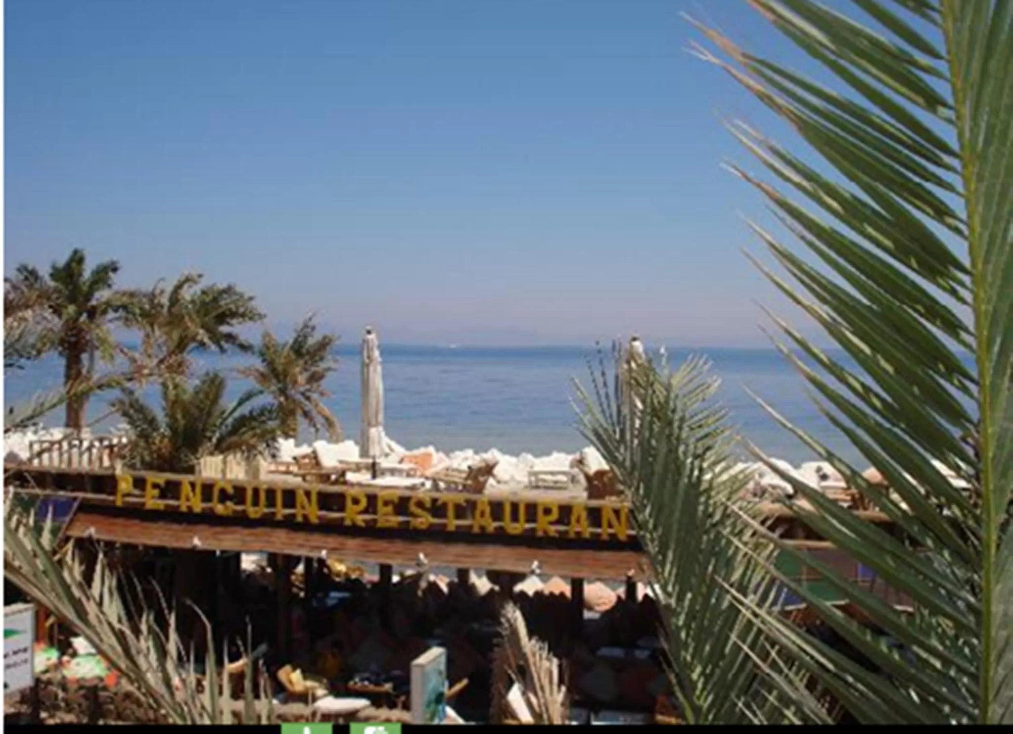 Day in Penguin Village Dahab