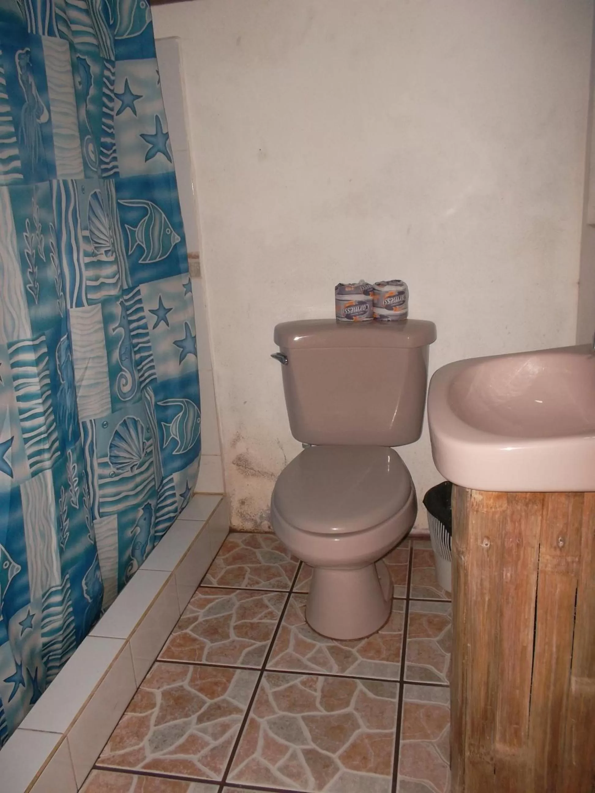 Bathroom in Hotel Salvador Gaviota