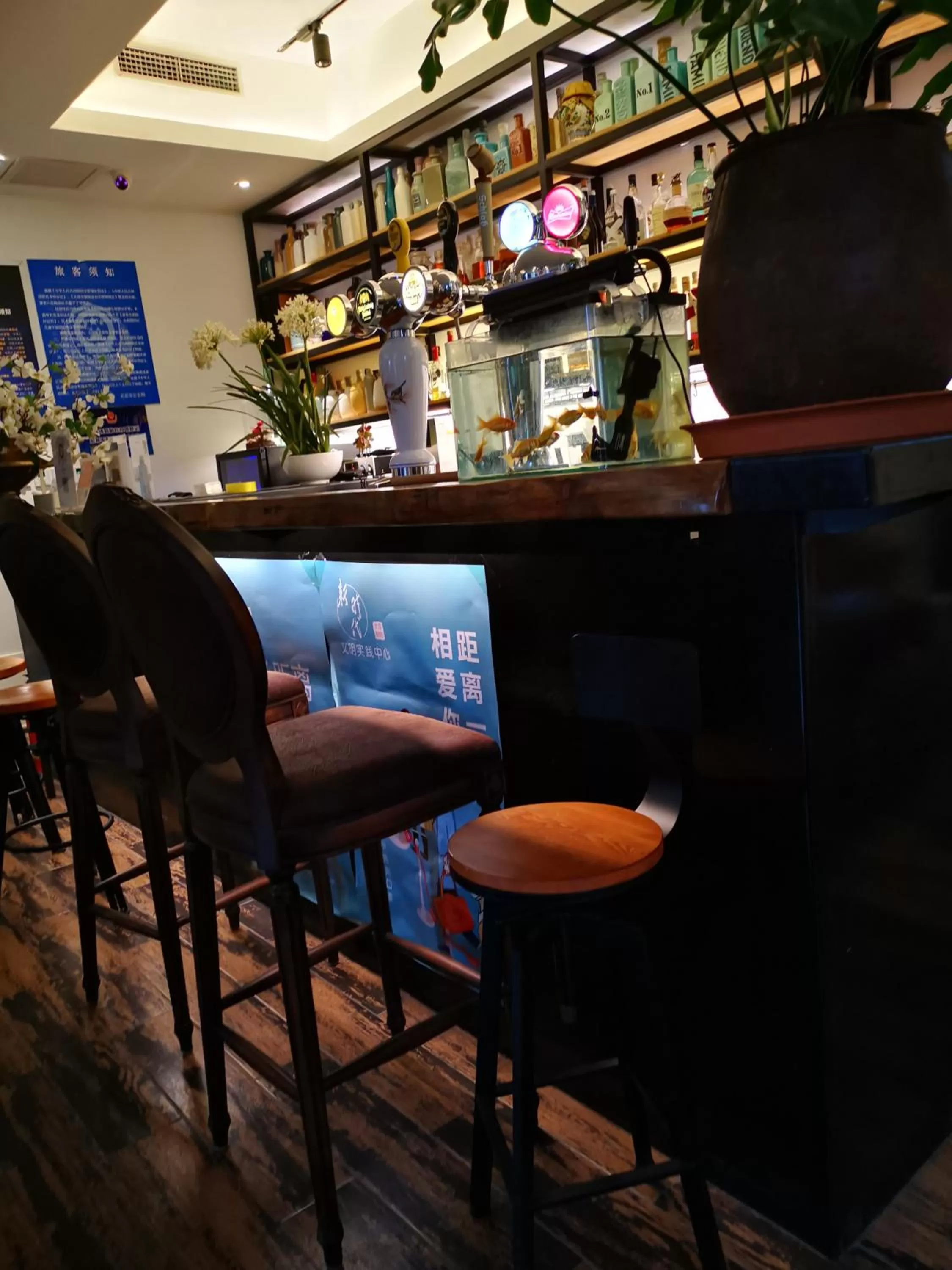 Lounge or bar, Lounge/Bar in Beijing Shangchao Hotel