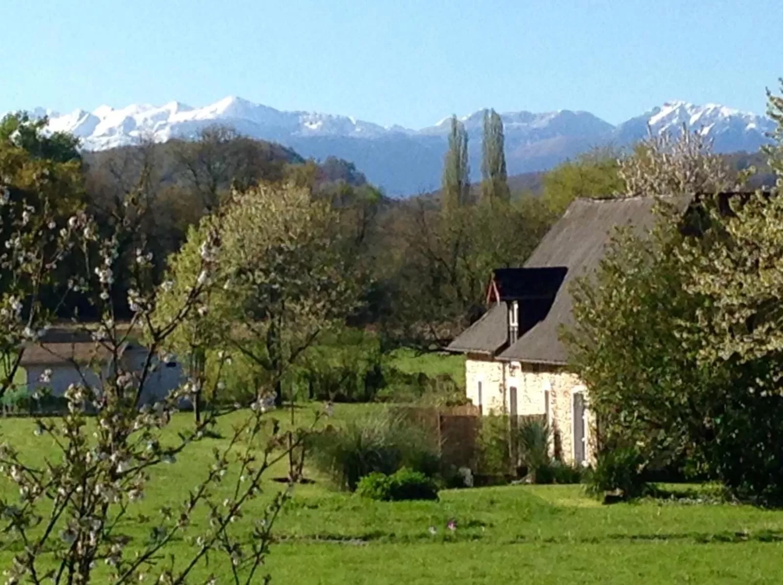 Mountain view in B&B Au Moulin 1771