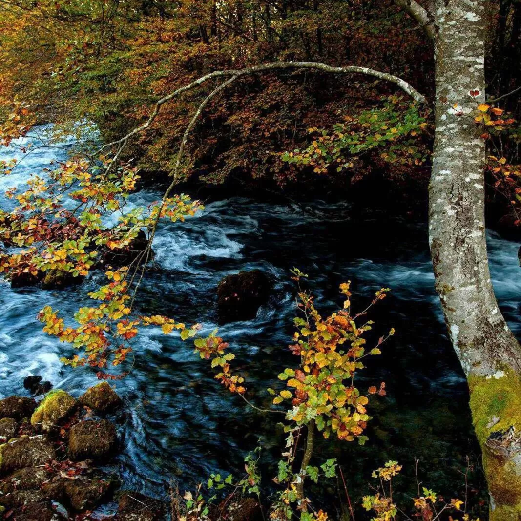 Natural Landscape in Bed and Breakfast Family Djukic