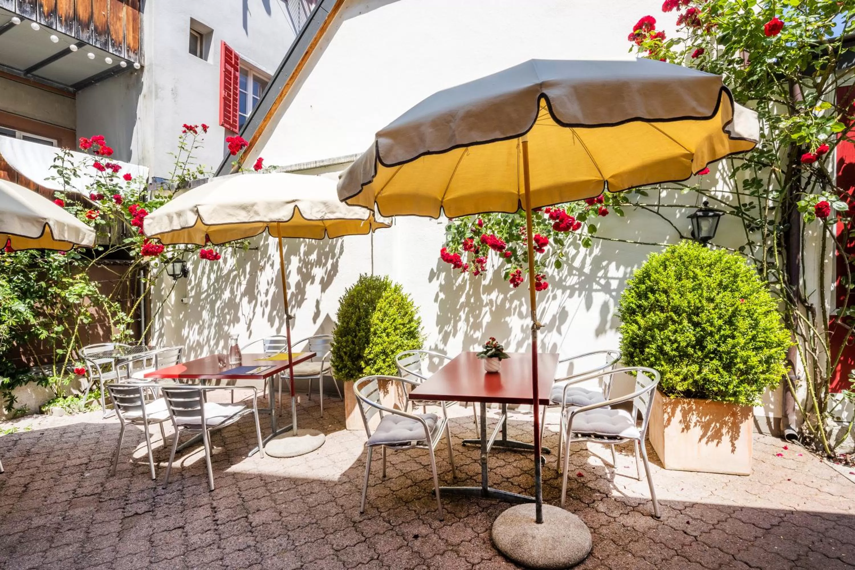 Balcony/Terrace in Hotel Roter Ochsen