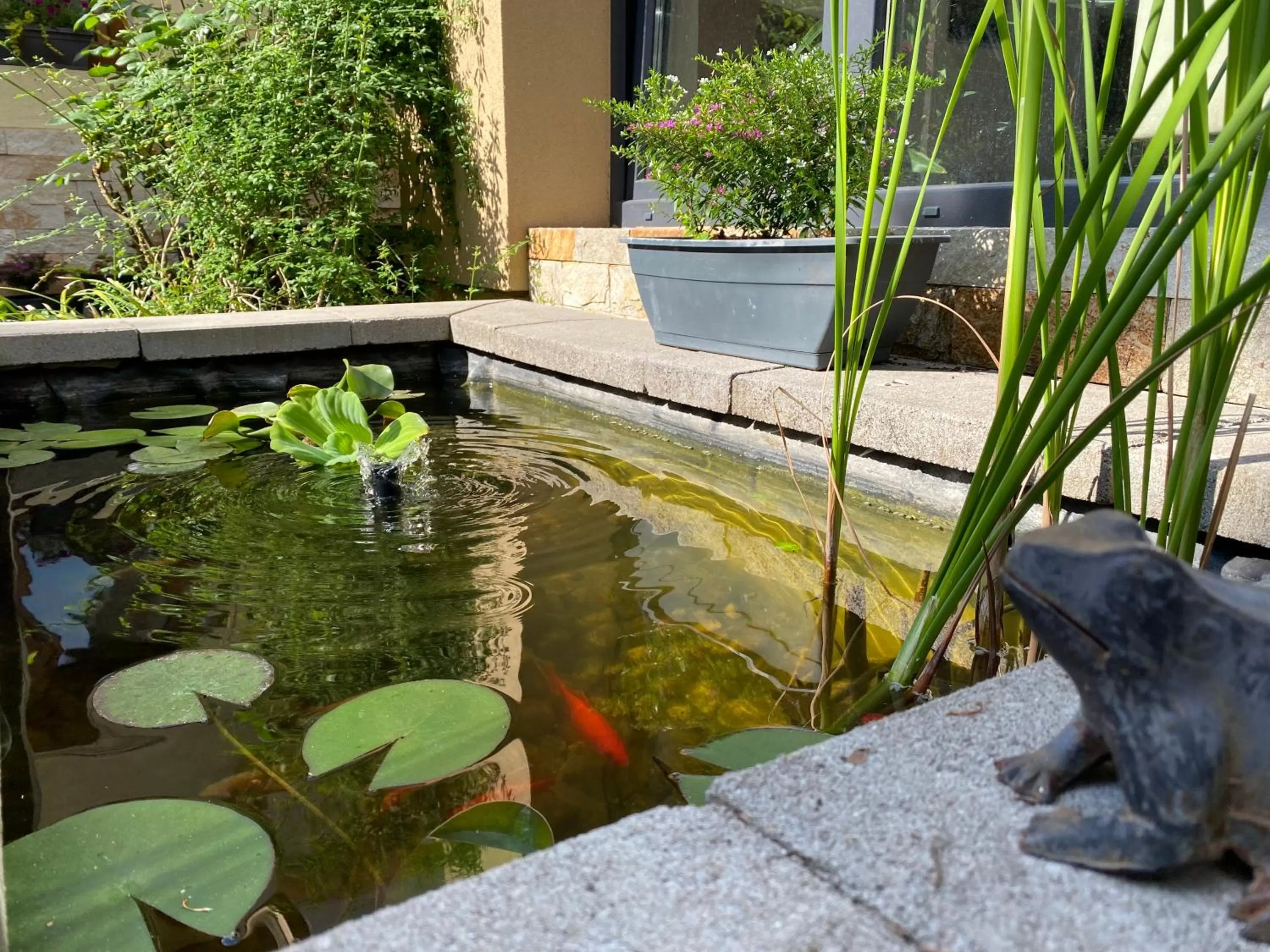 Garden in Margaréta Garden & SPA