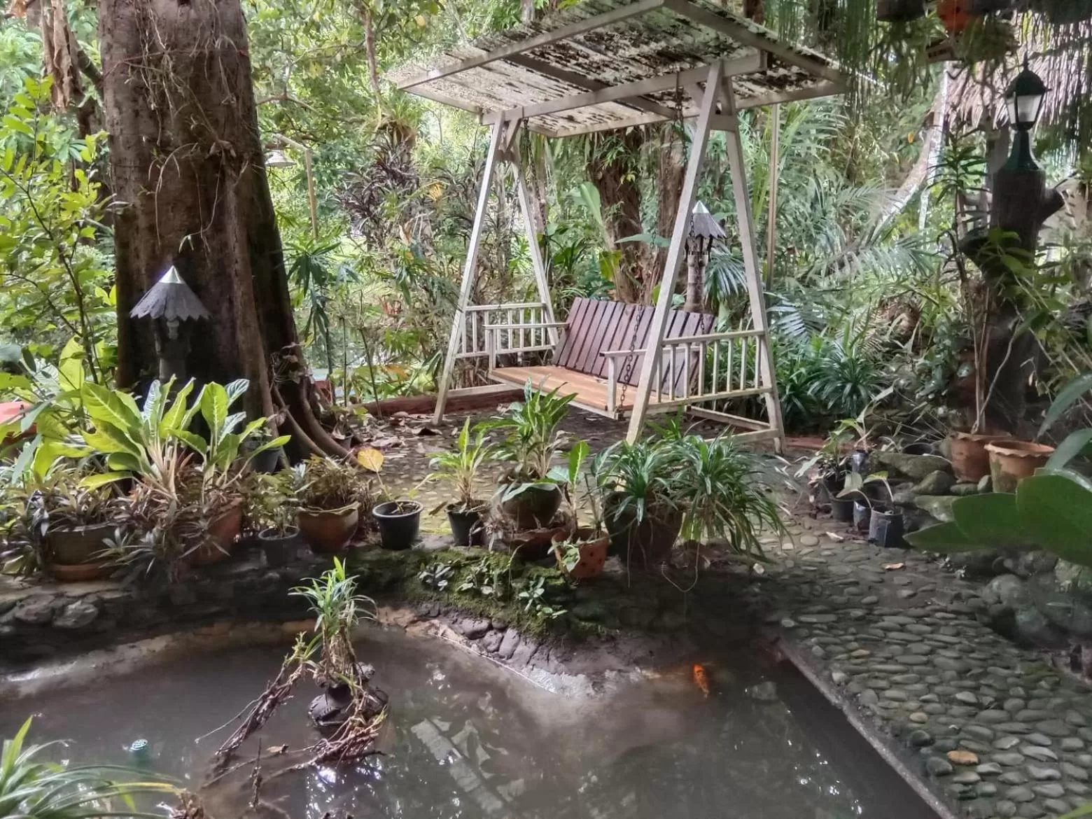 Tree Tops River Huts