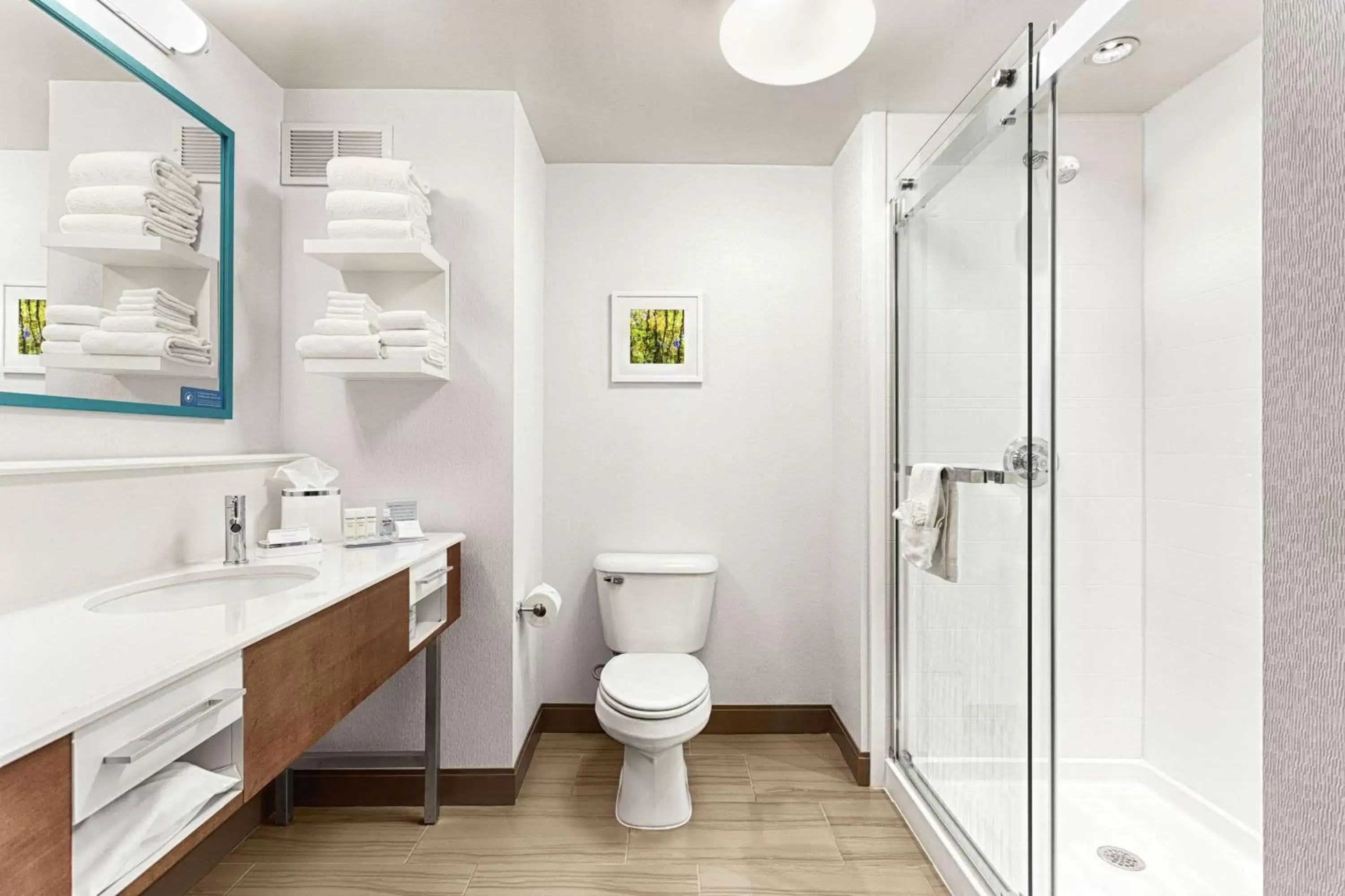 Studio Suite with Queen Bed - Shower Only/Nonsmoking in Hampton Inn Morganton Studio Suite with Queen Bed - Shower Only/Nonsmoking in Hampton Inn Morganton