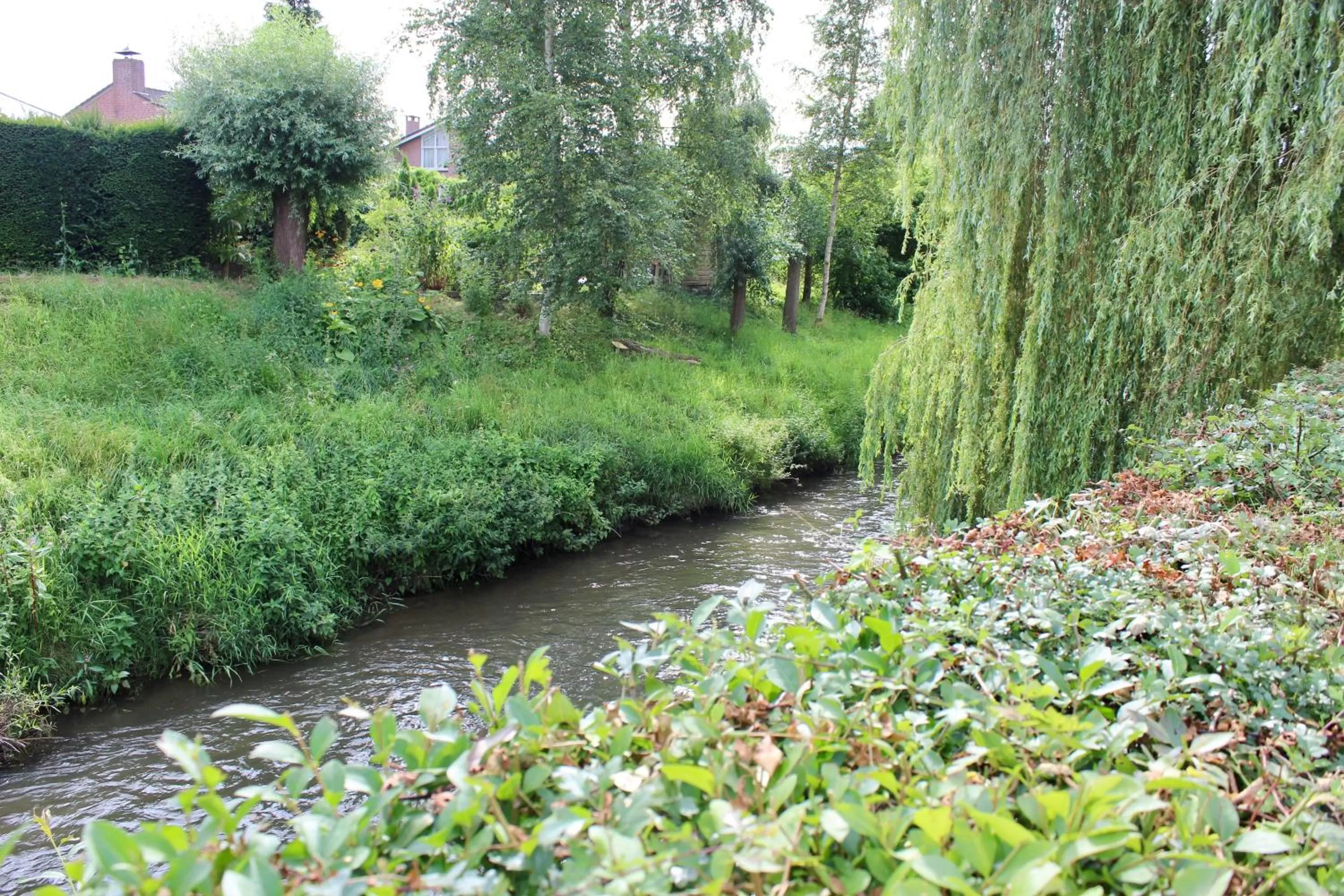 Garden in Hotel Salden