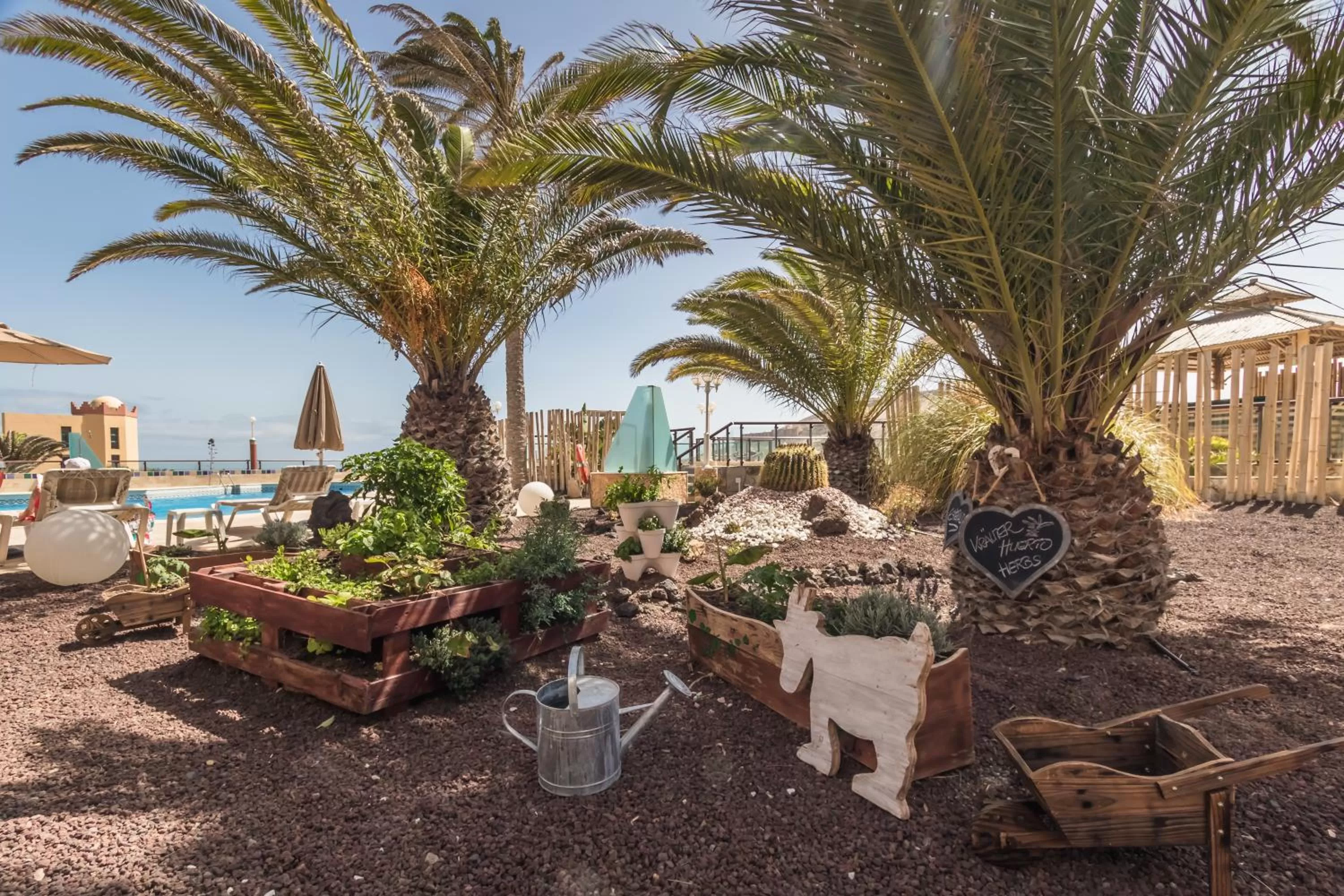 Garden in Hotel Esmeralda Maris by LIVVO