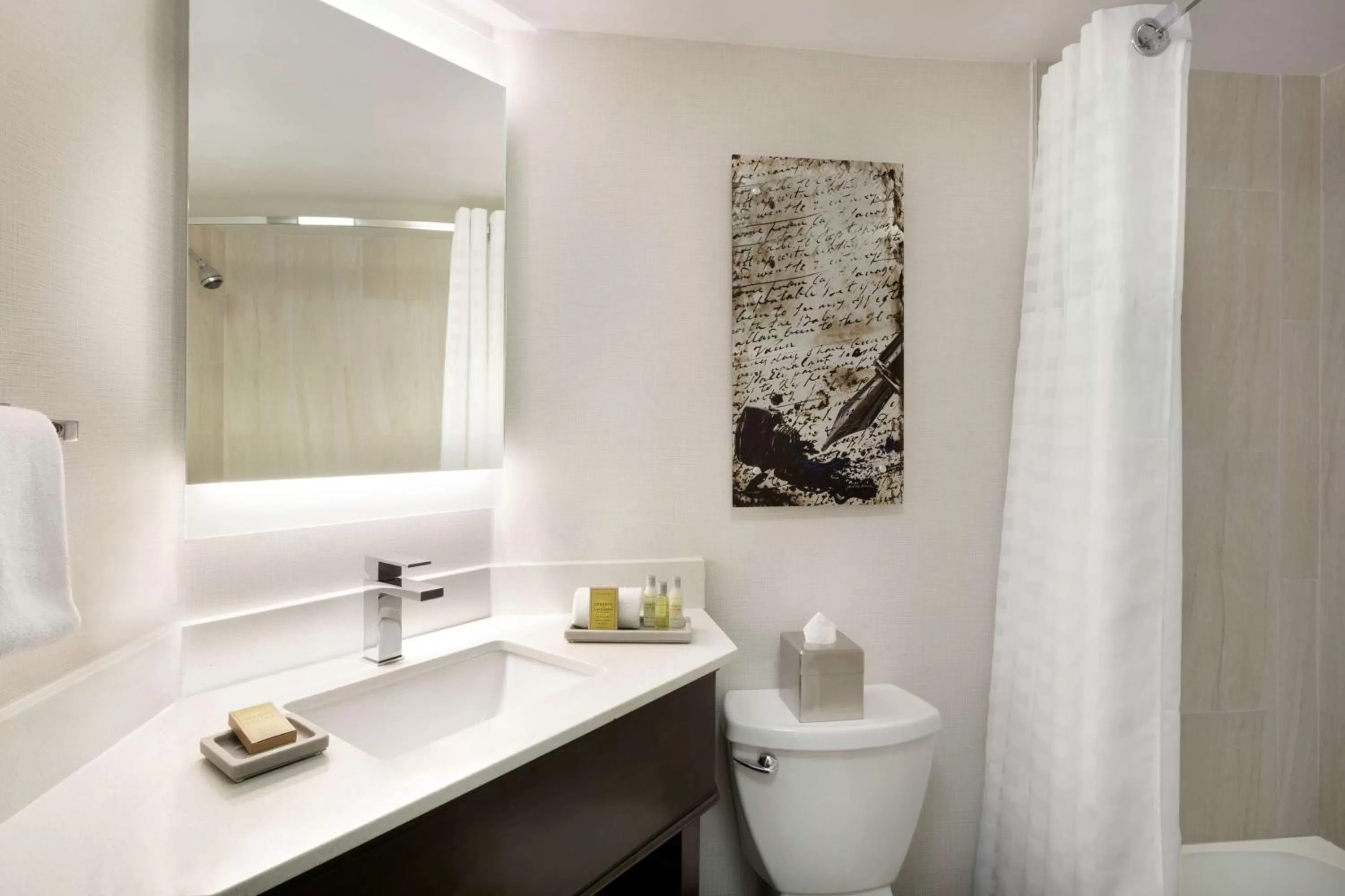 Bathroom in DoubleTree by Hilton McLean Tysons