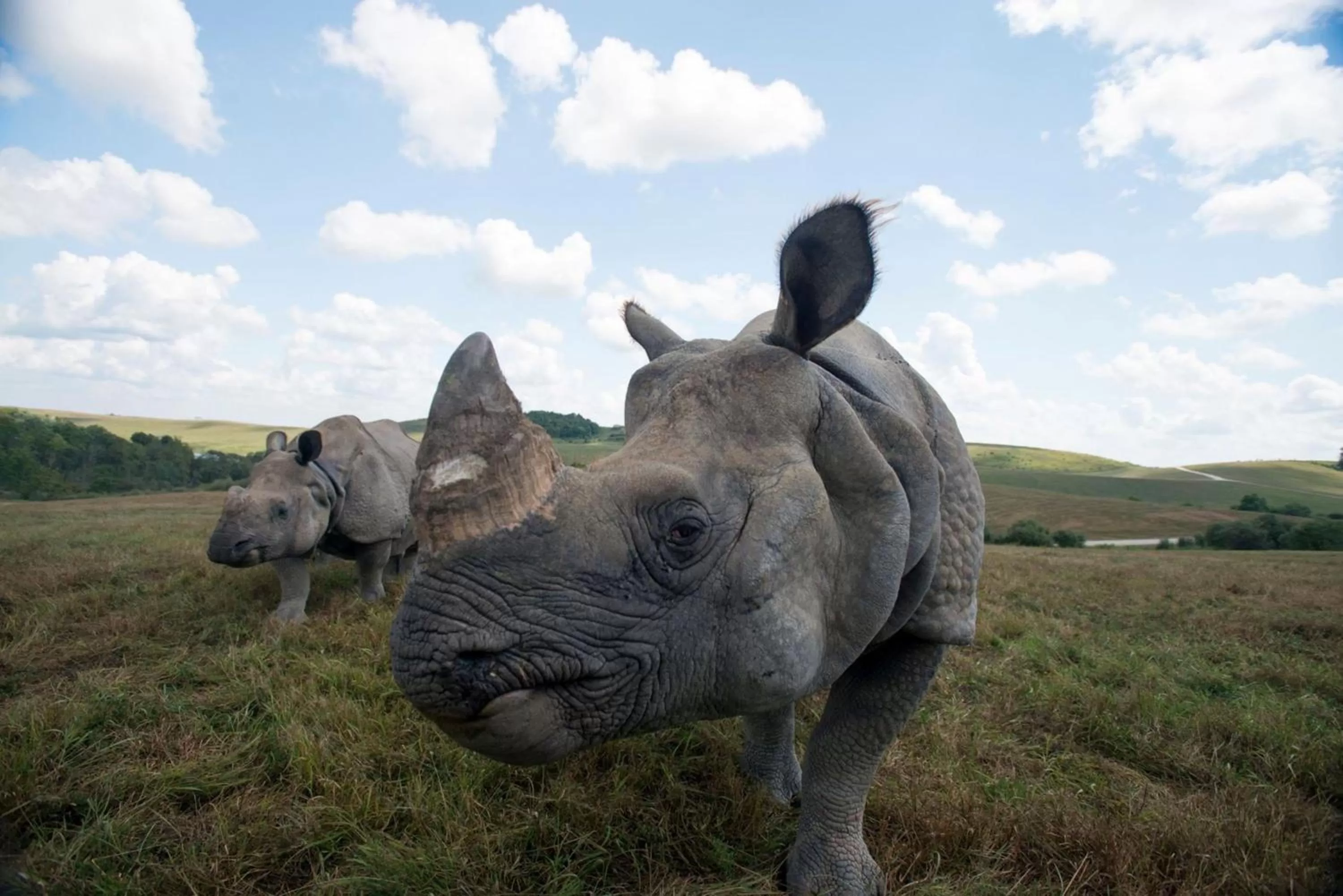Nearby landmark in Holiday Inn Express & Suites Zanesville North by IHG
