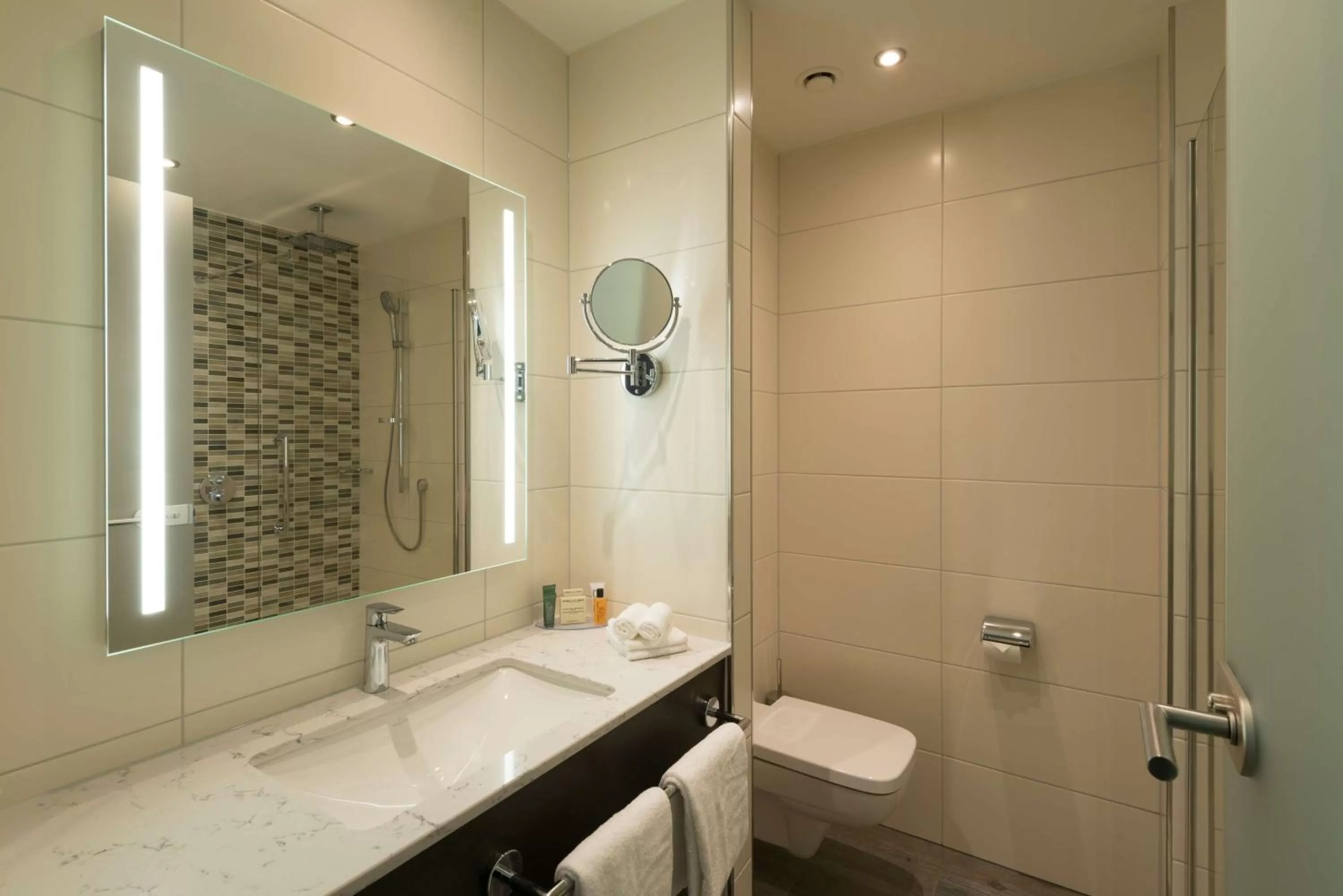 Bathroom in Hilton Garden Inn Frankfurt City Centre